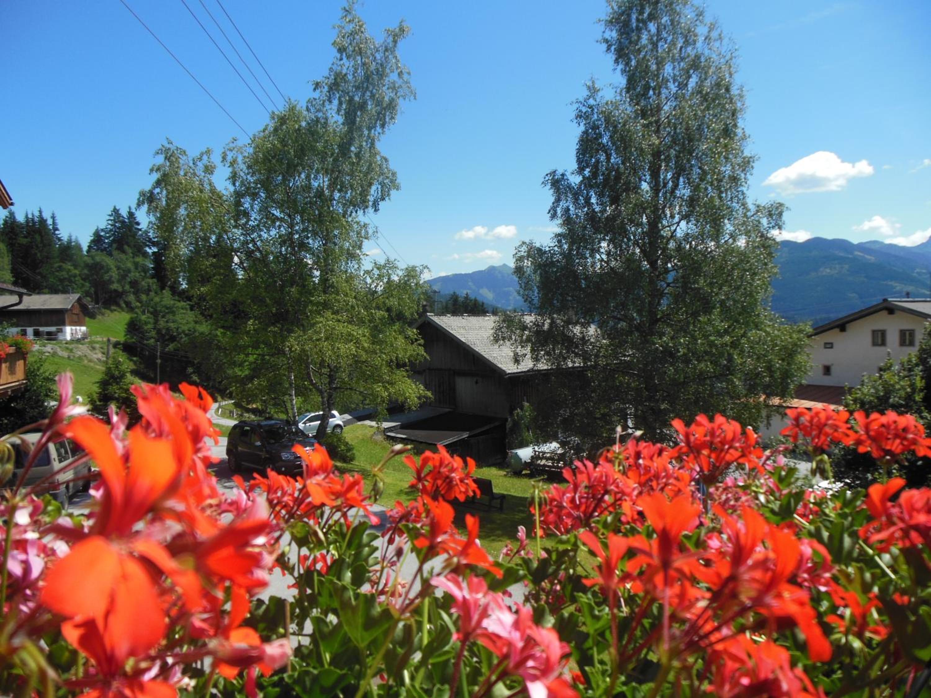 Pension Sonnhof