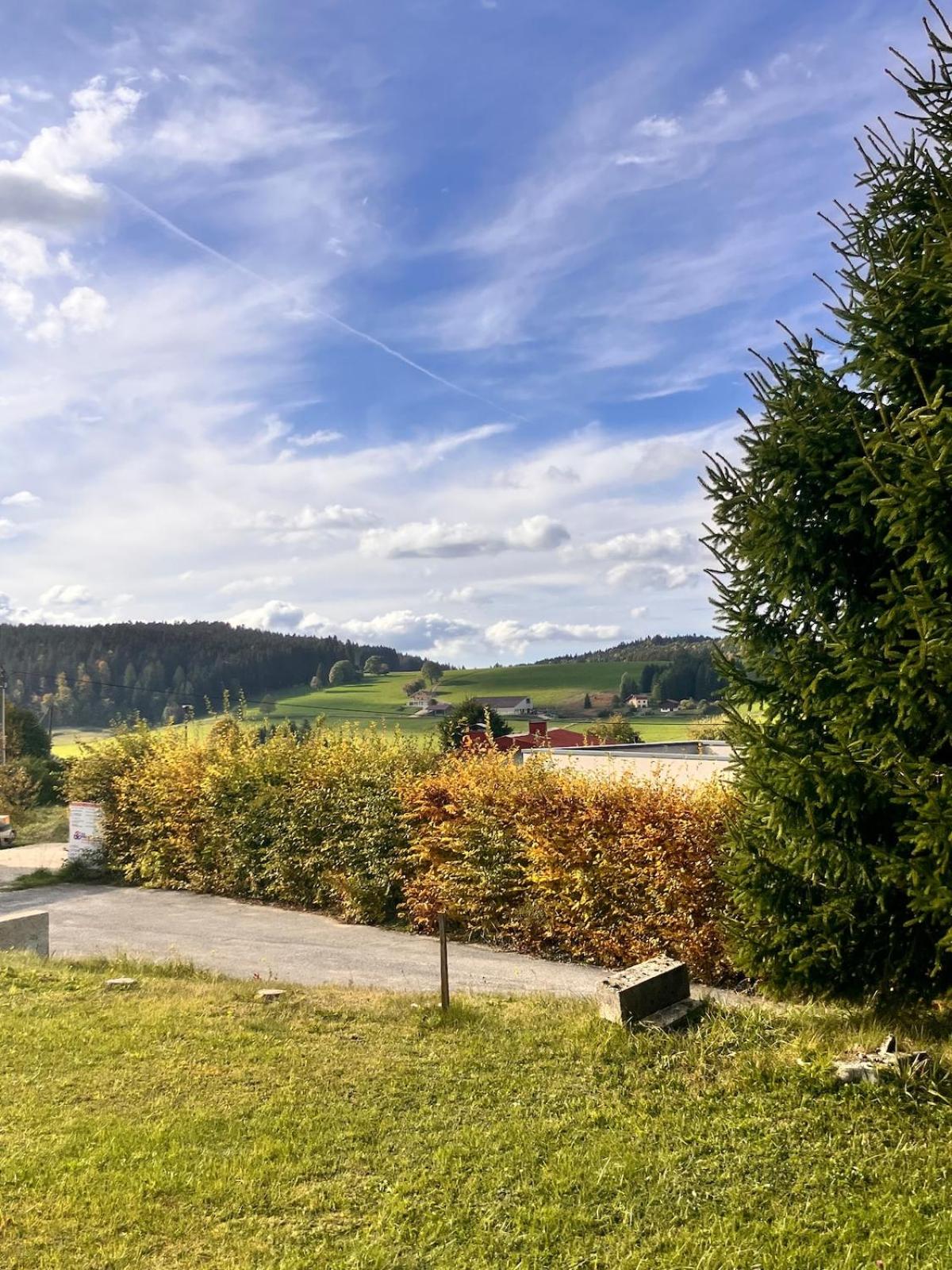 Chalet authentique au cœur du Mont d'Or