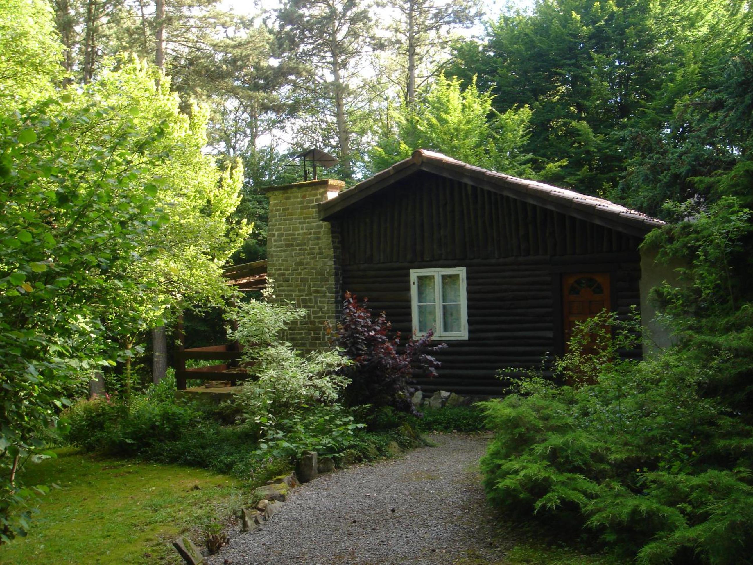 Photo 21