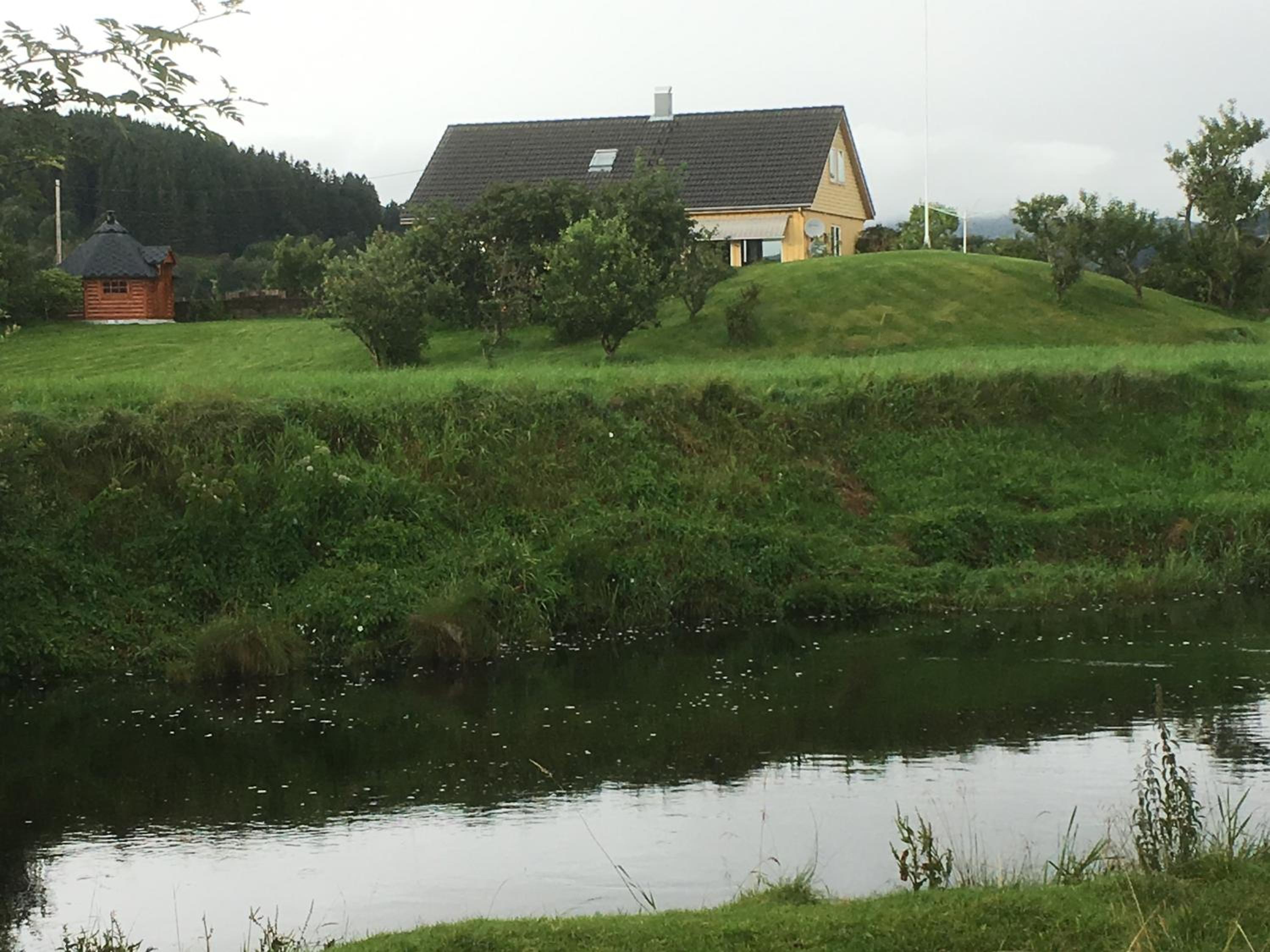 Photo 41