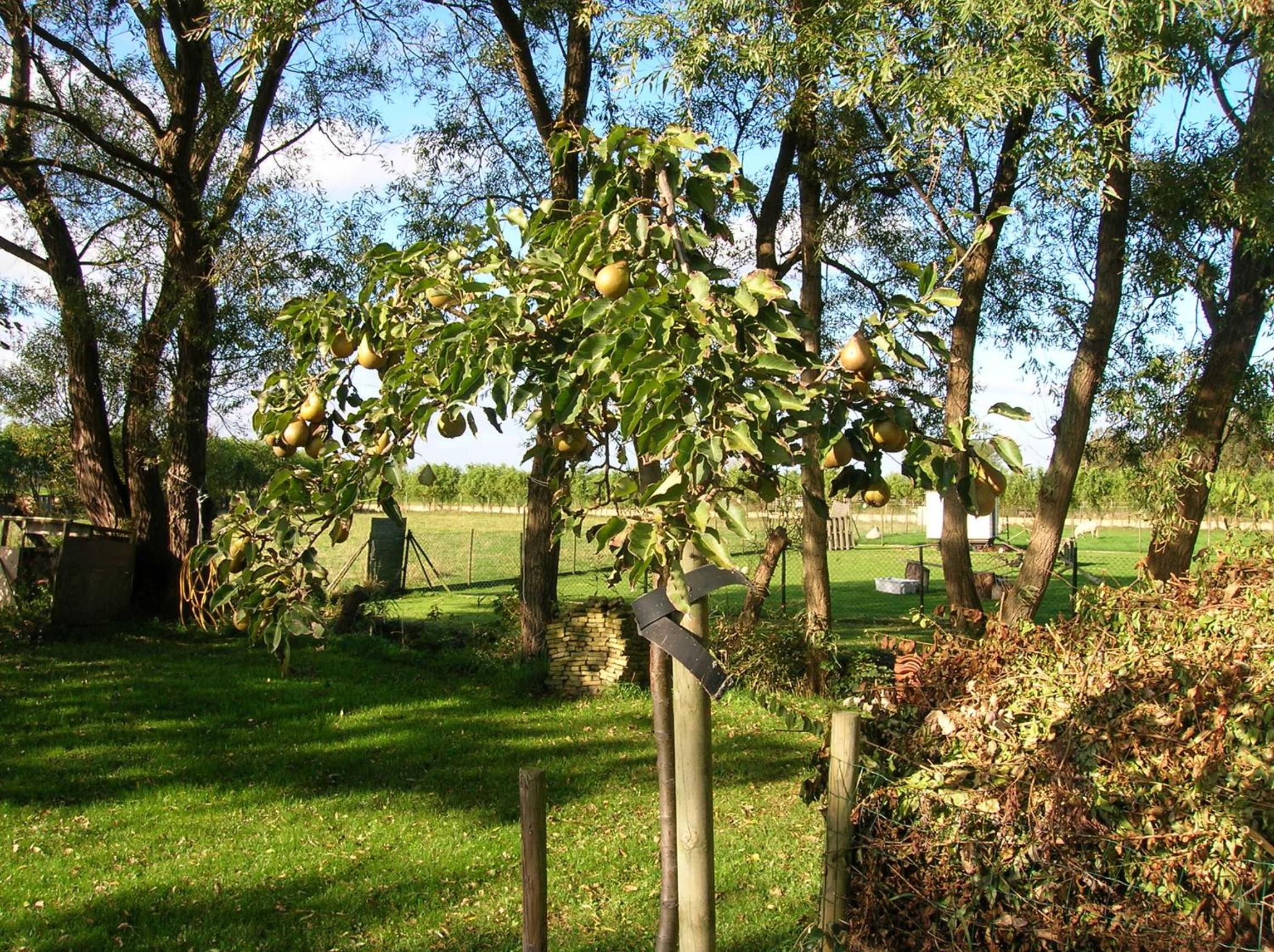 Photo 33