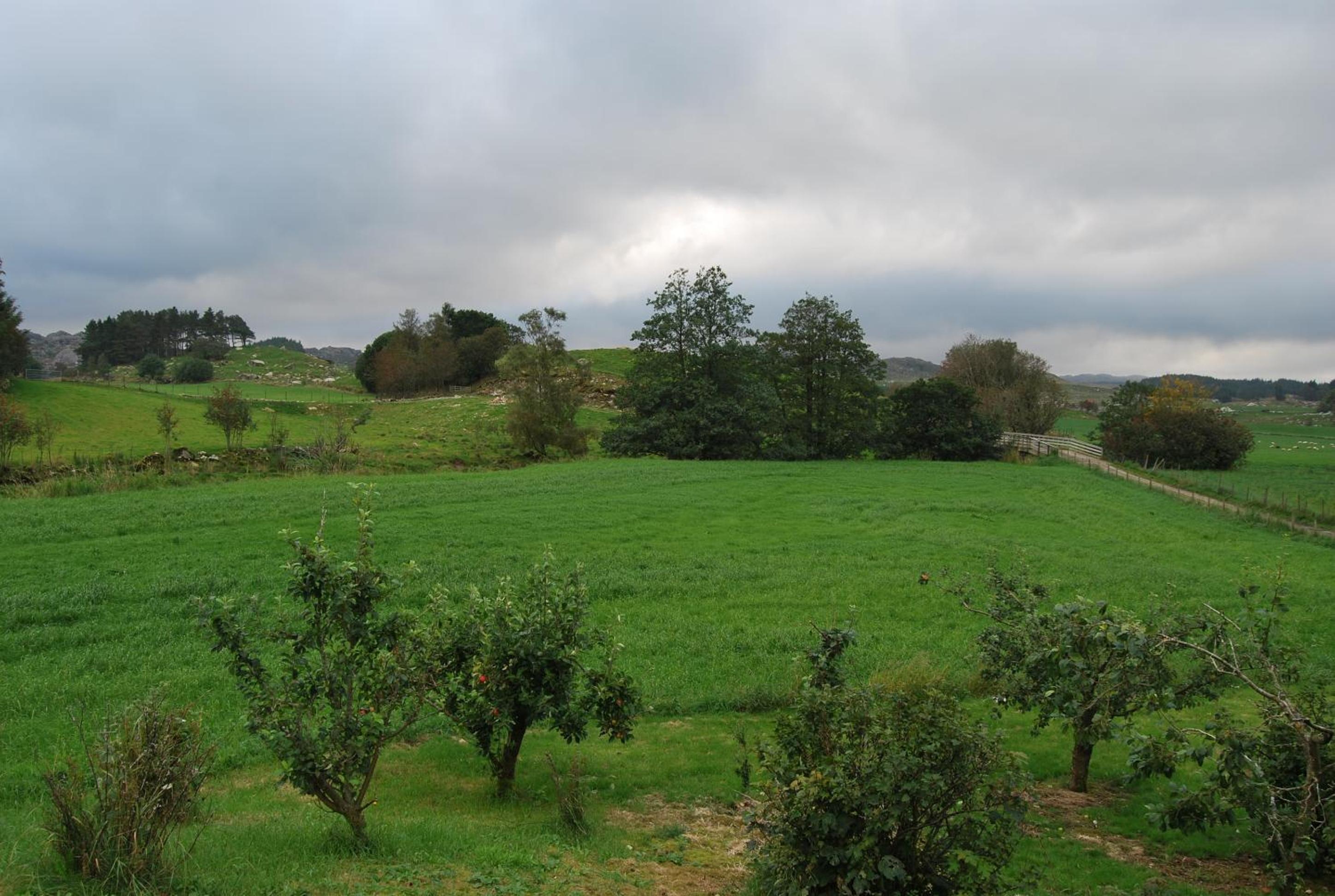Photo 40