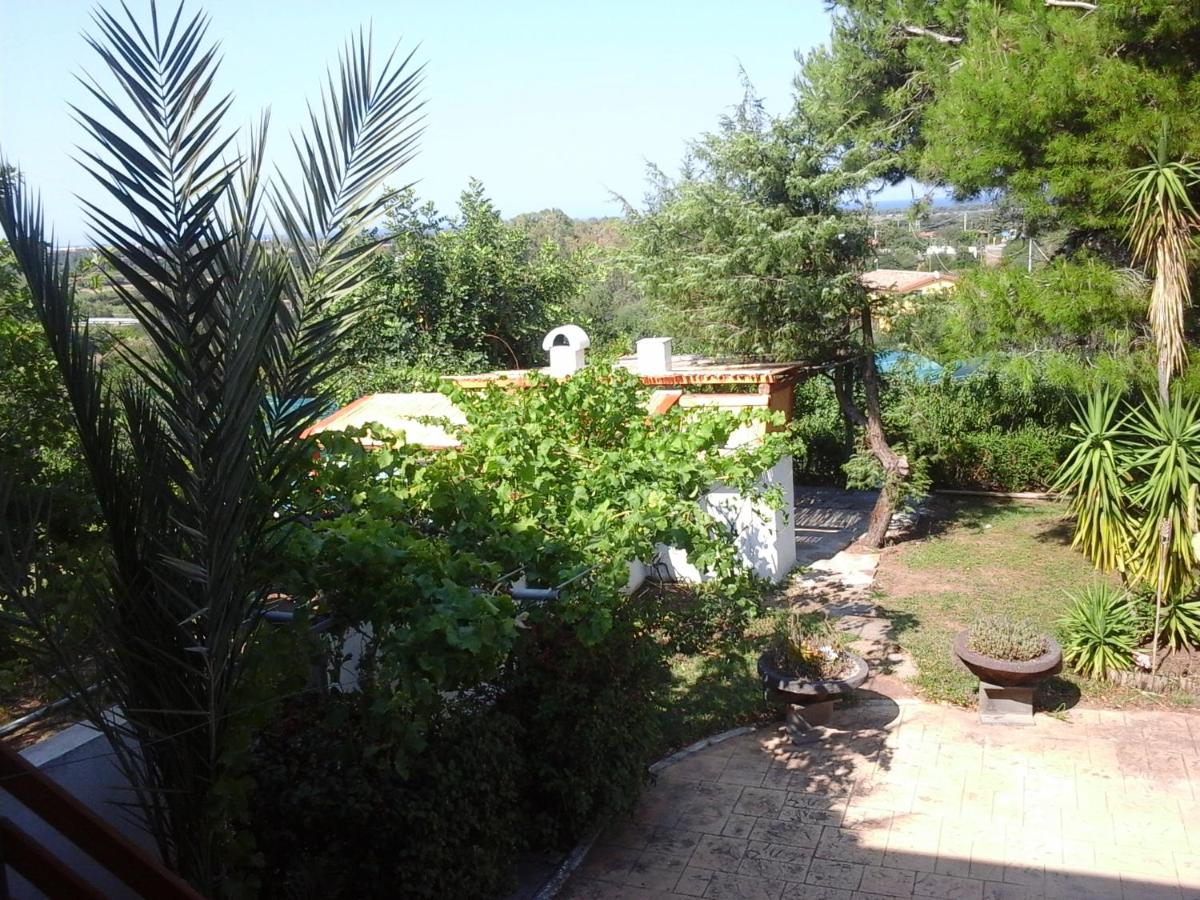 Photo 41