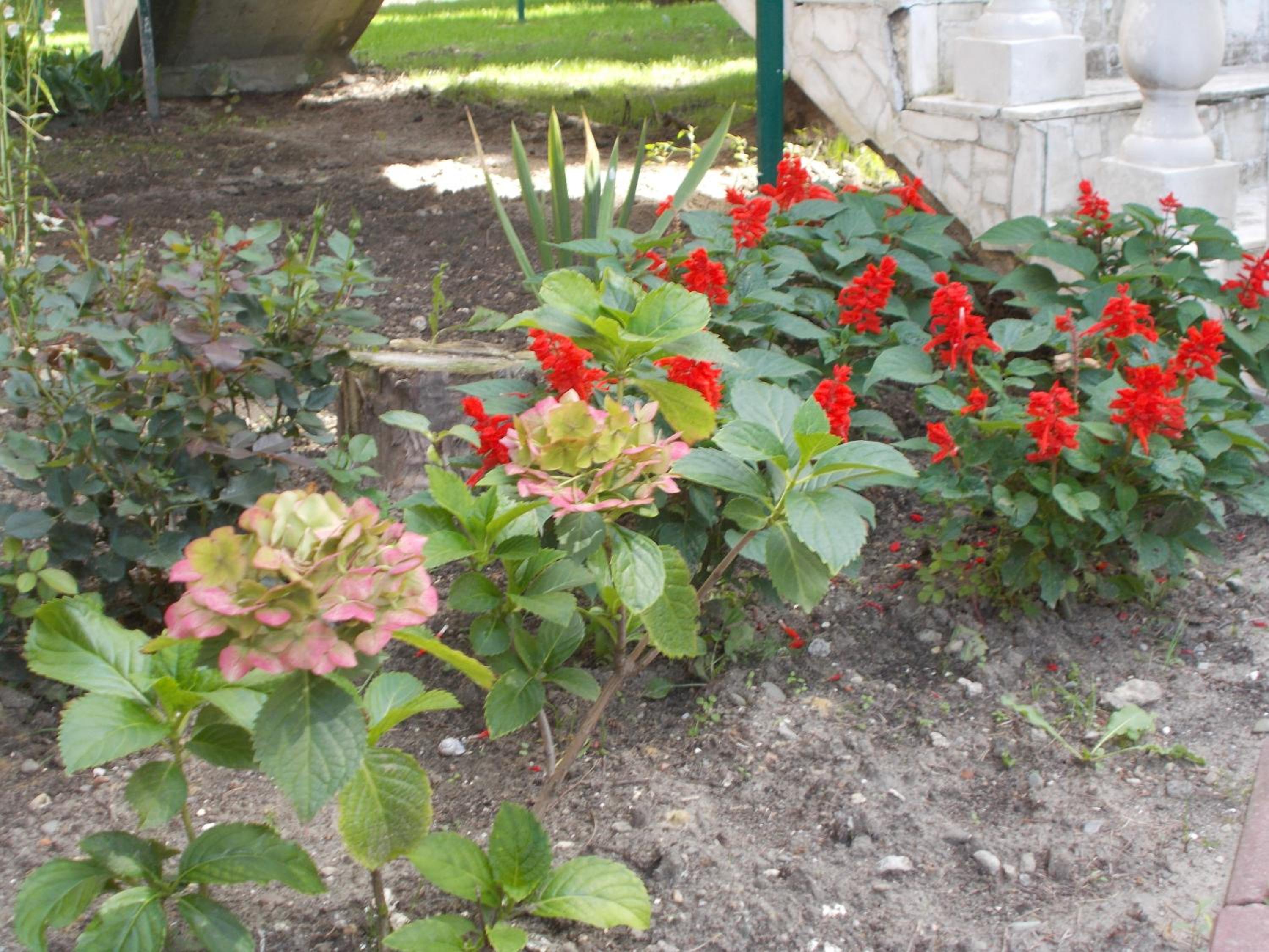 Photo 62