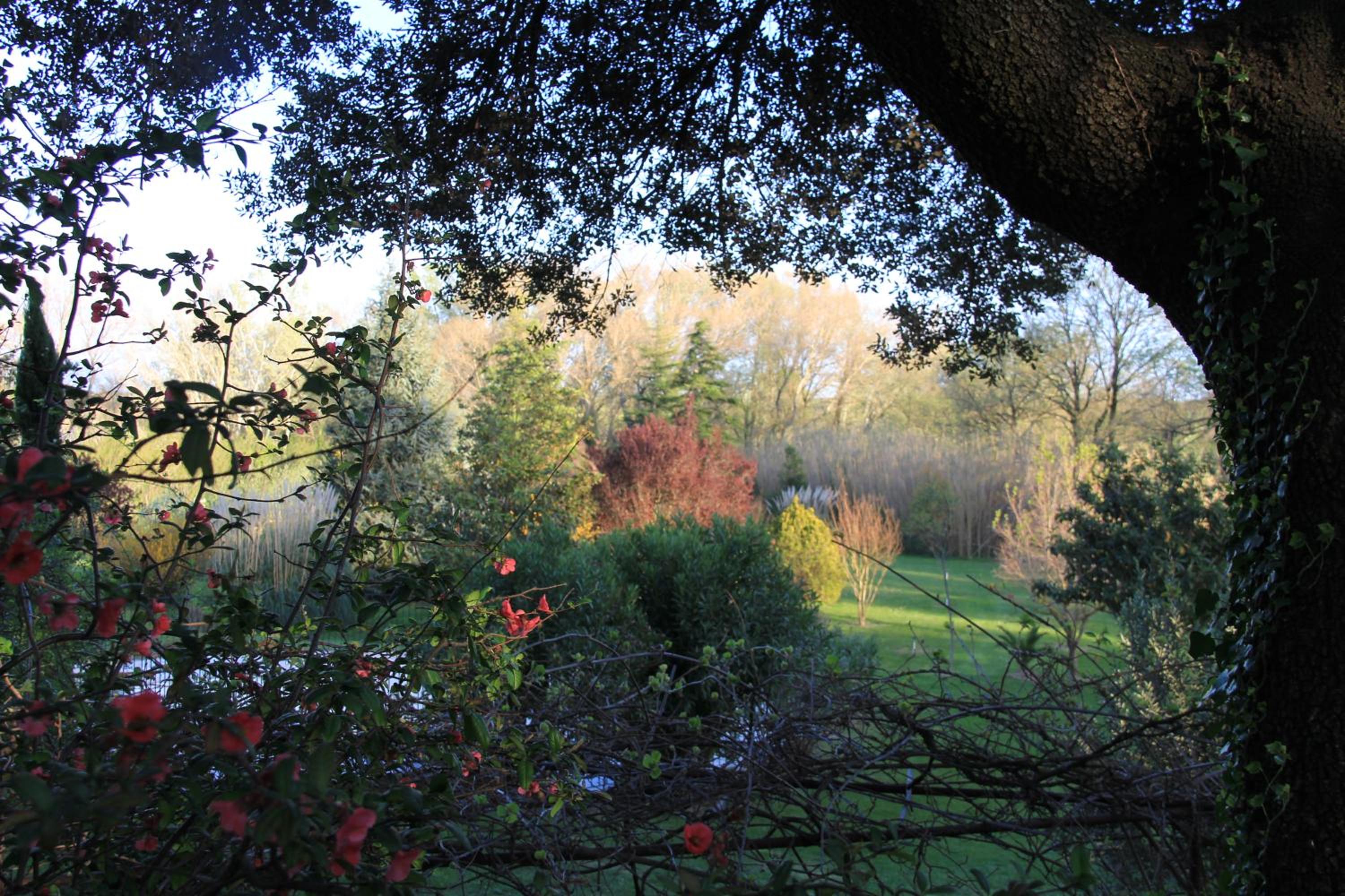 Photo 46