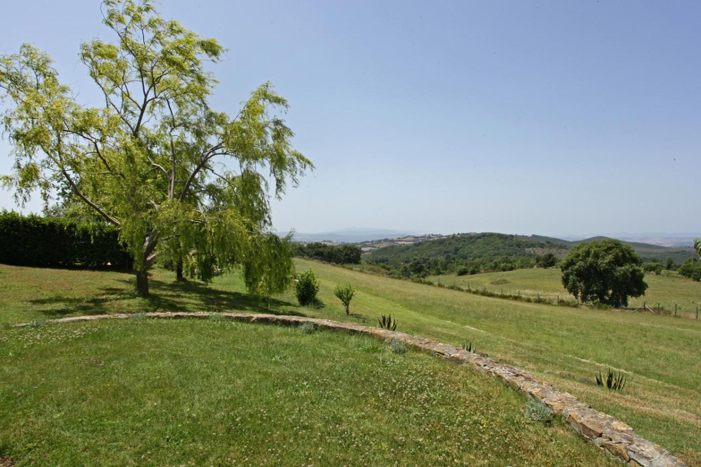 Photo 44