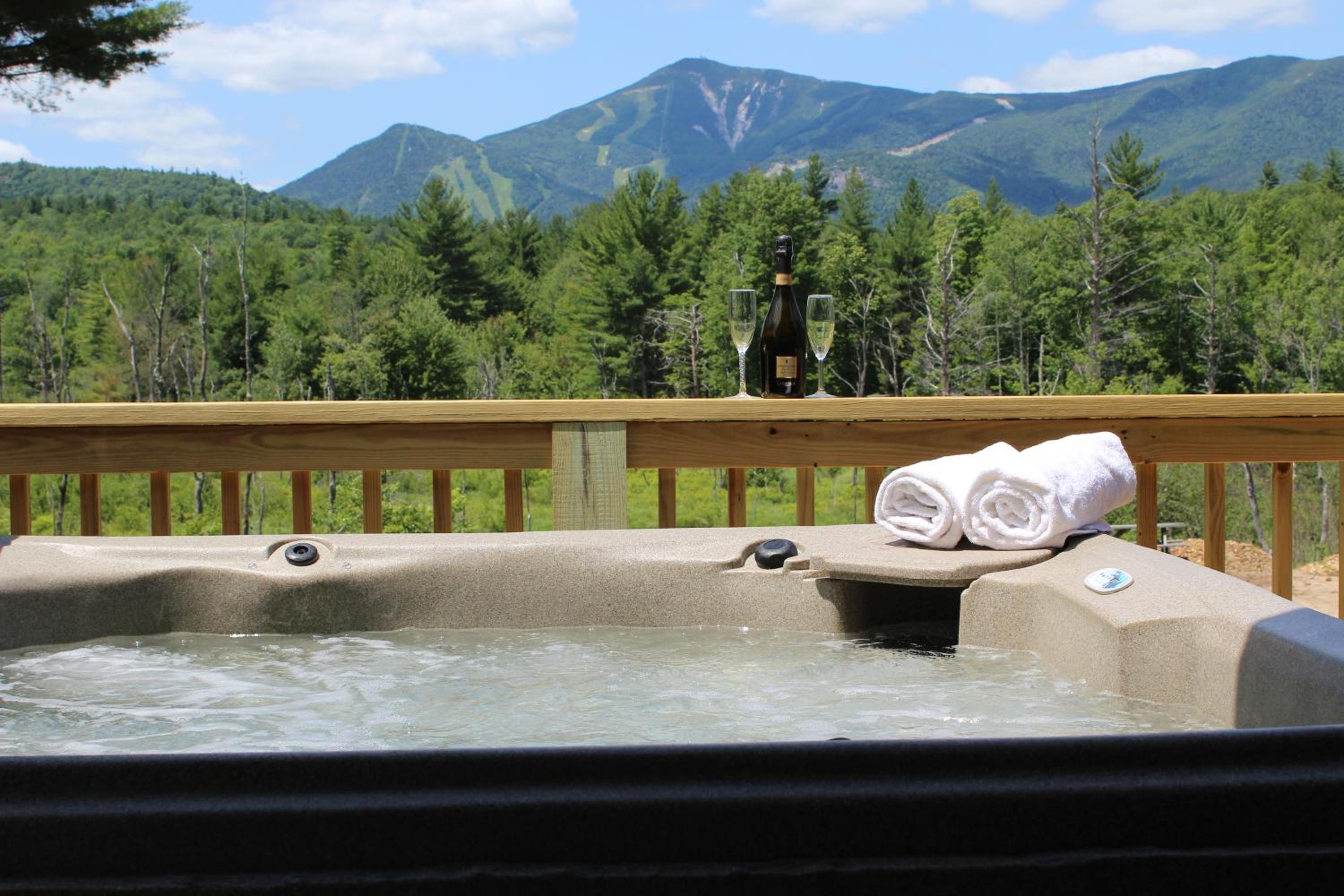 Esther Mountain Chalet view 2