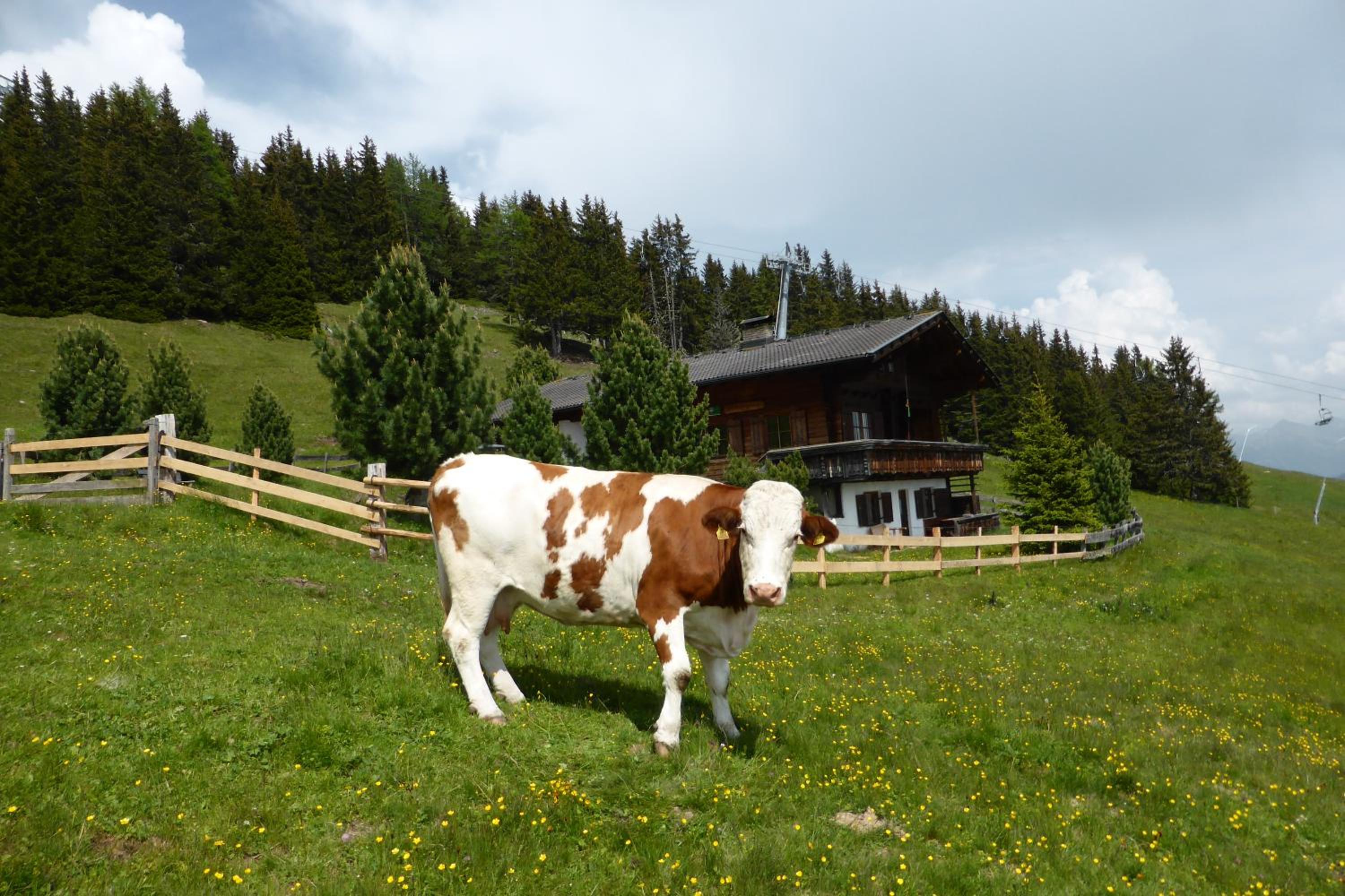 Kristemoarhütte view 4