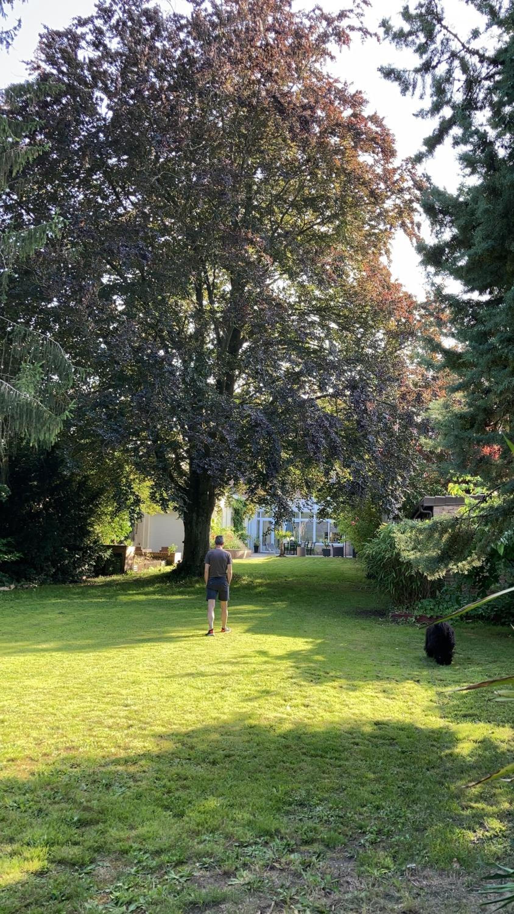 La Victorine, photo 20