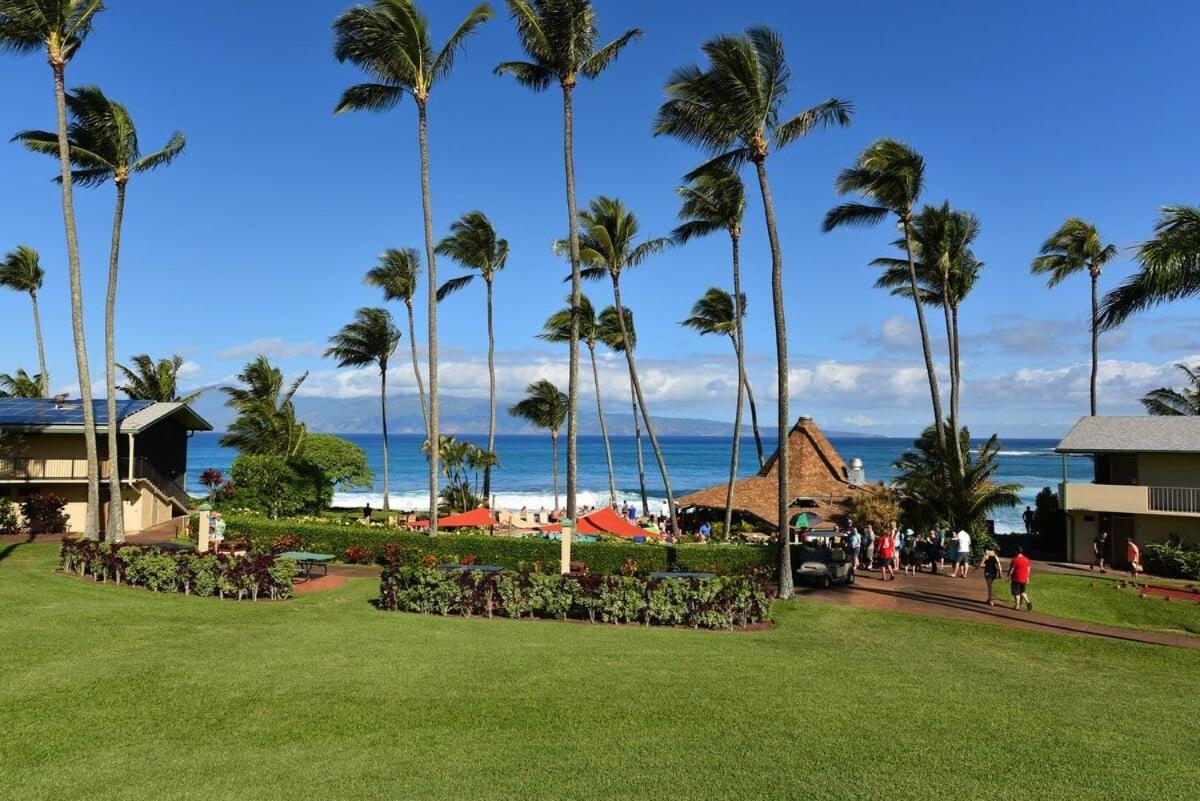 Napili Shores D227 · NS D227 OceanFront Resort w Pool