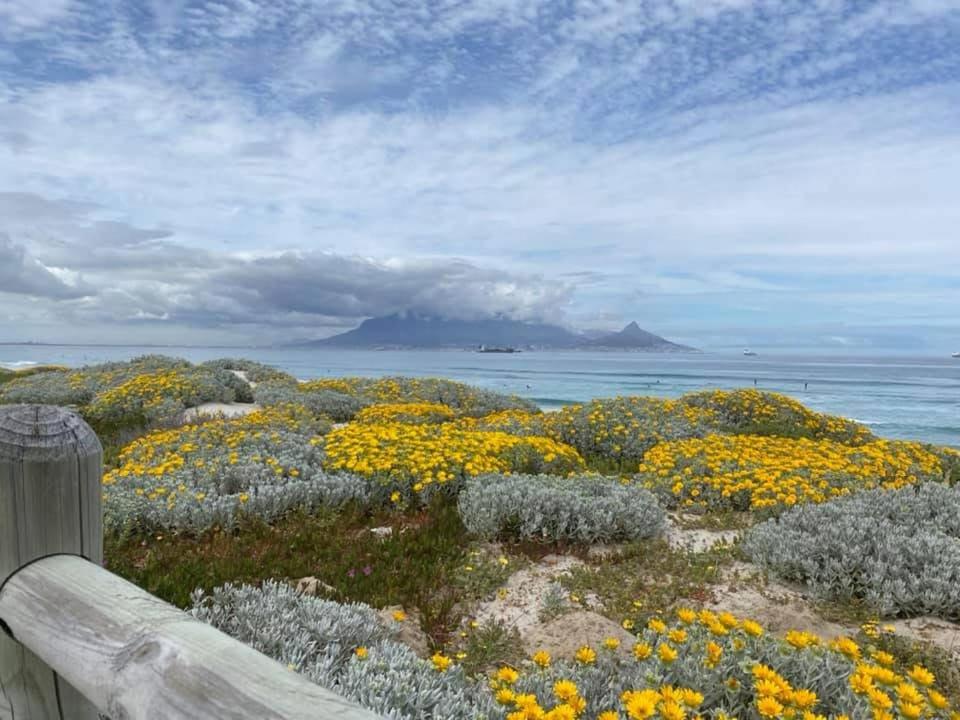 Pentzhouse View
