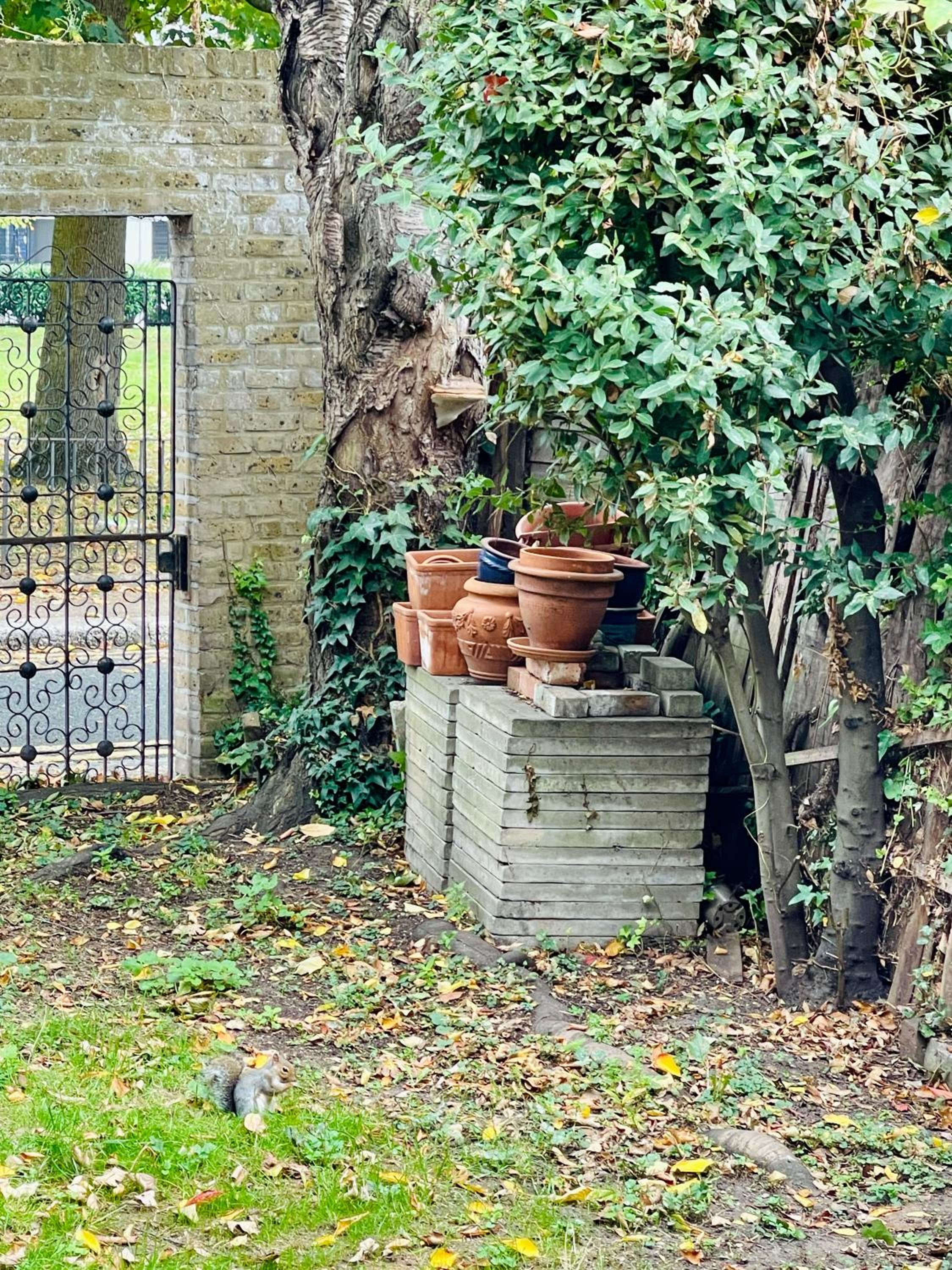 Spacious & Cosy Central London 3-bed Victoria TownHouse, with Private Garden