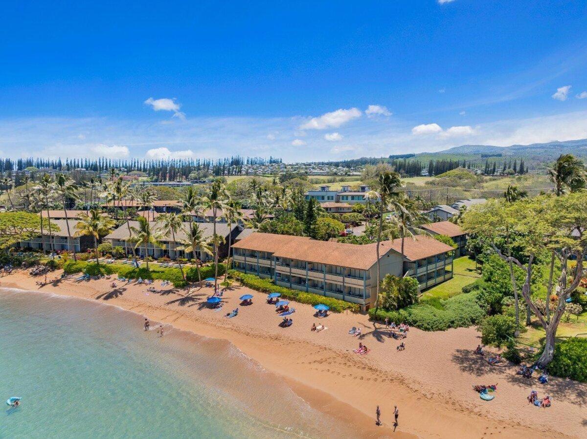Napili Bay 210 · NB 210 Napili Bay Studio with Direct Ocean View