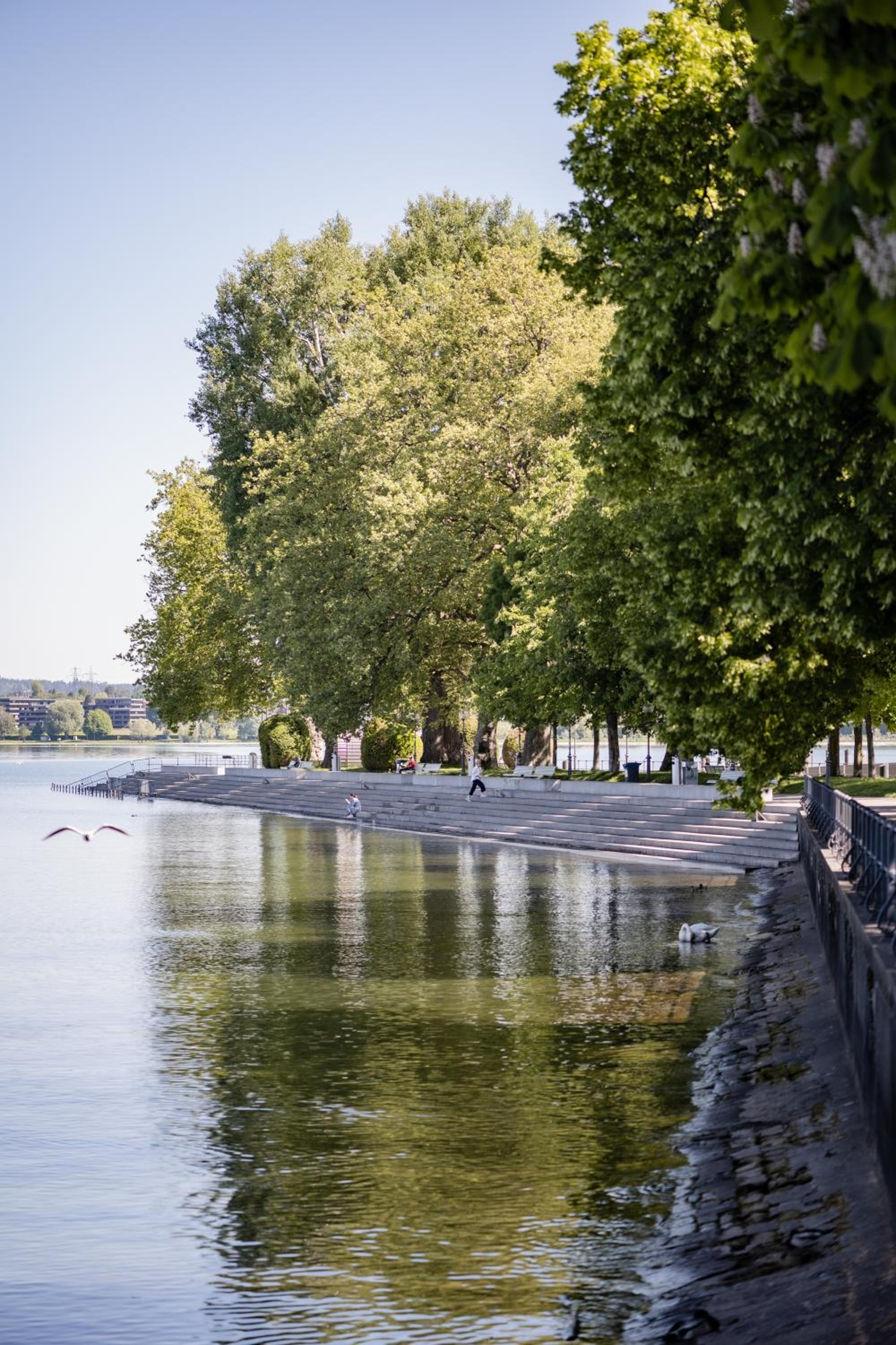 Loft am See im Herzen von Bregenz