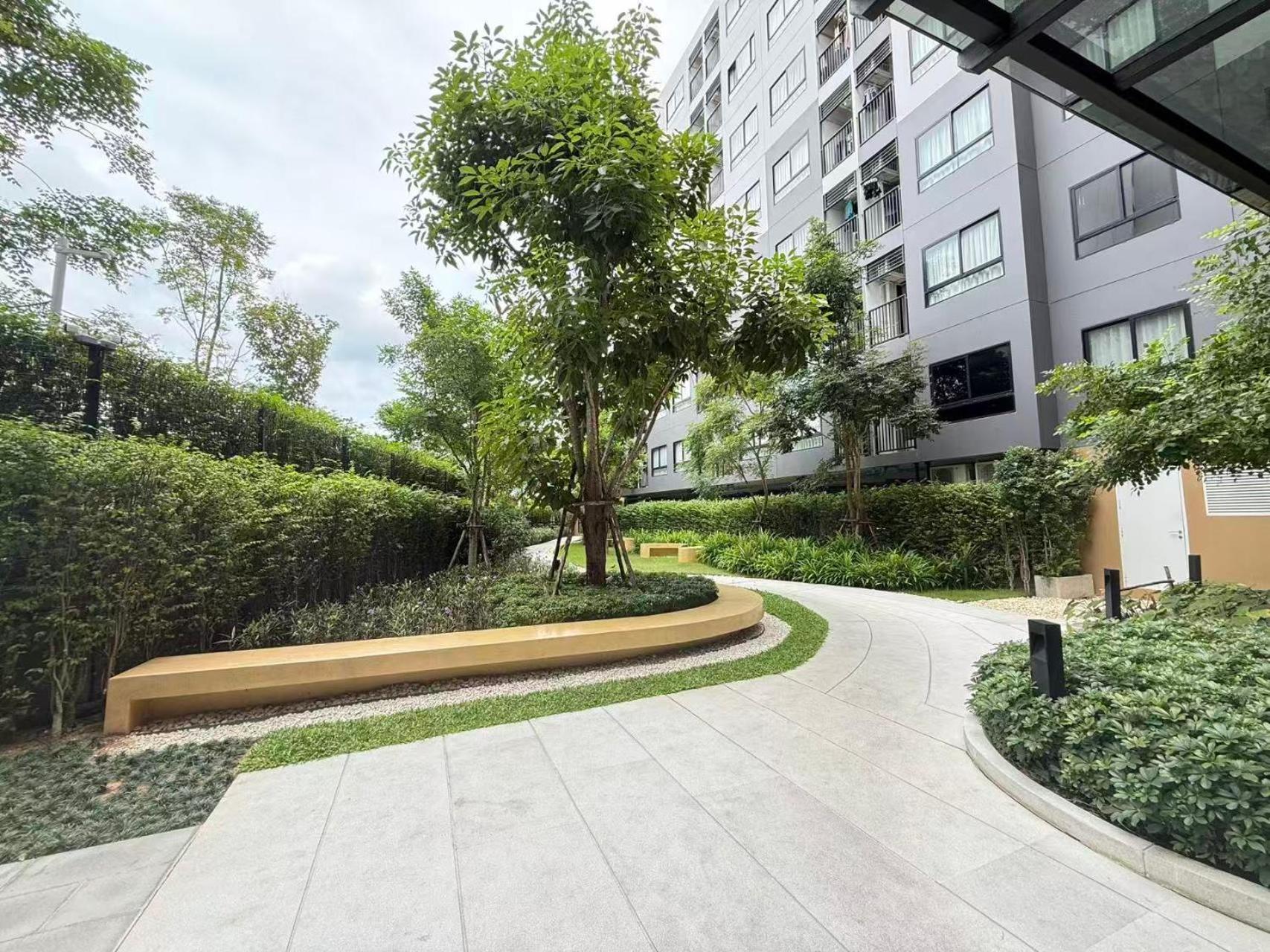 Chic Vay Central Pattaya Condo
