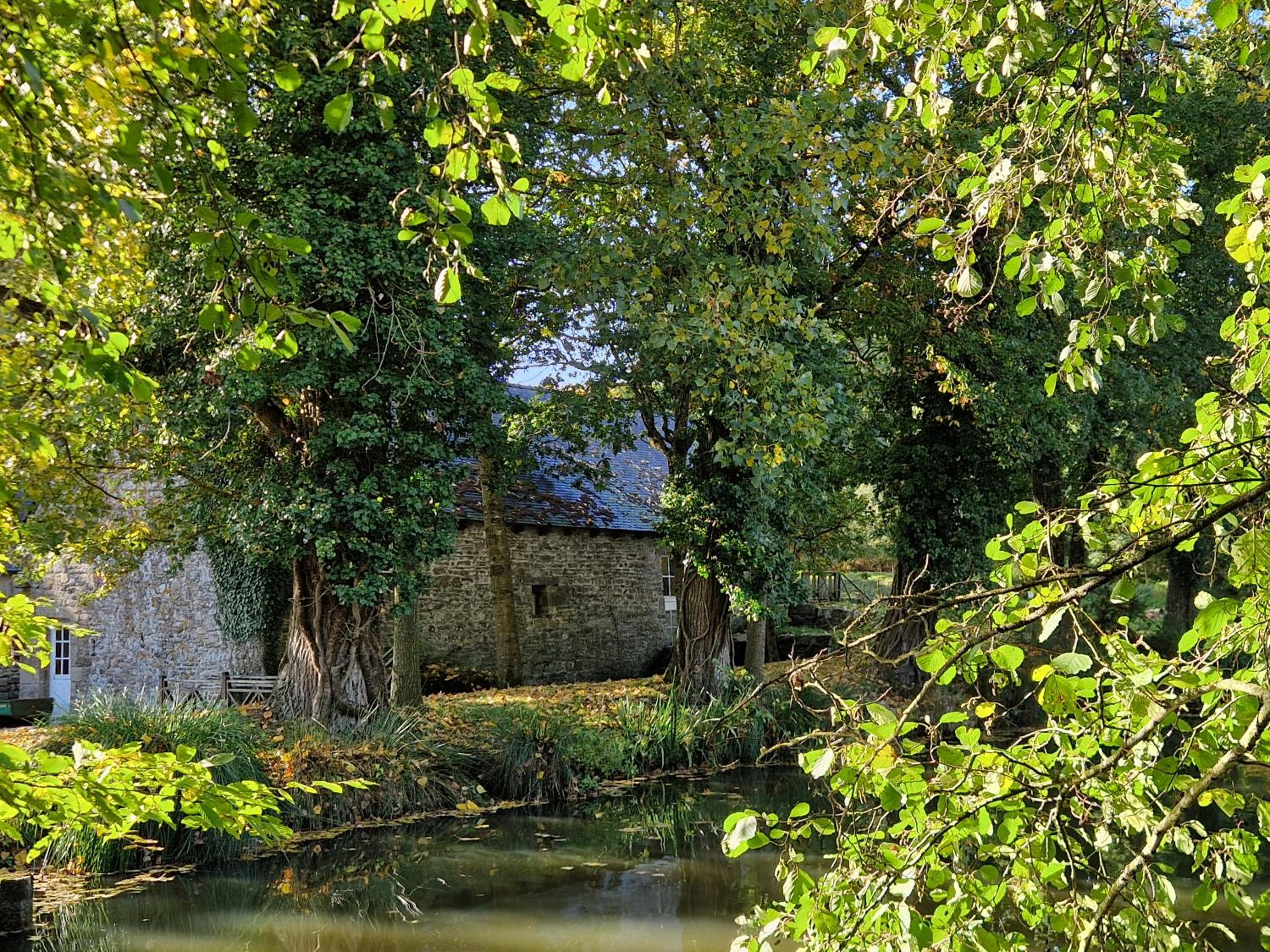 Chalet de charme style cottage - Domaine du Moulin