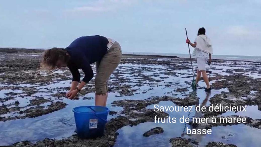 Spacieux apt avec terrasse proche plage
