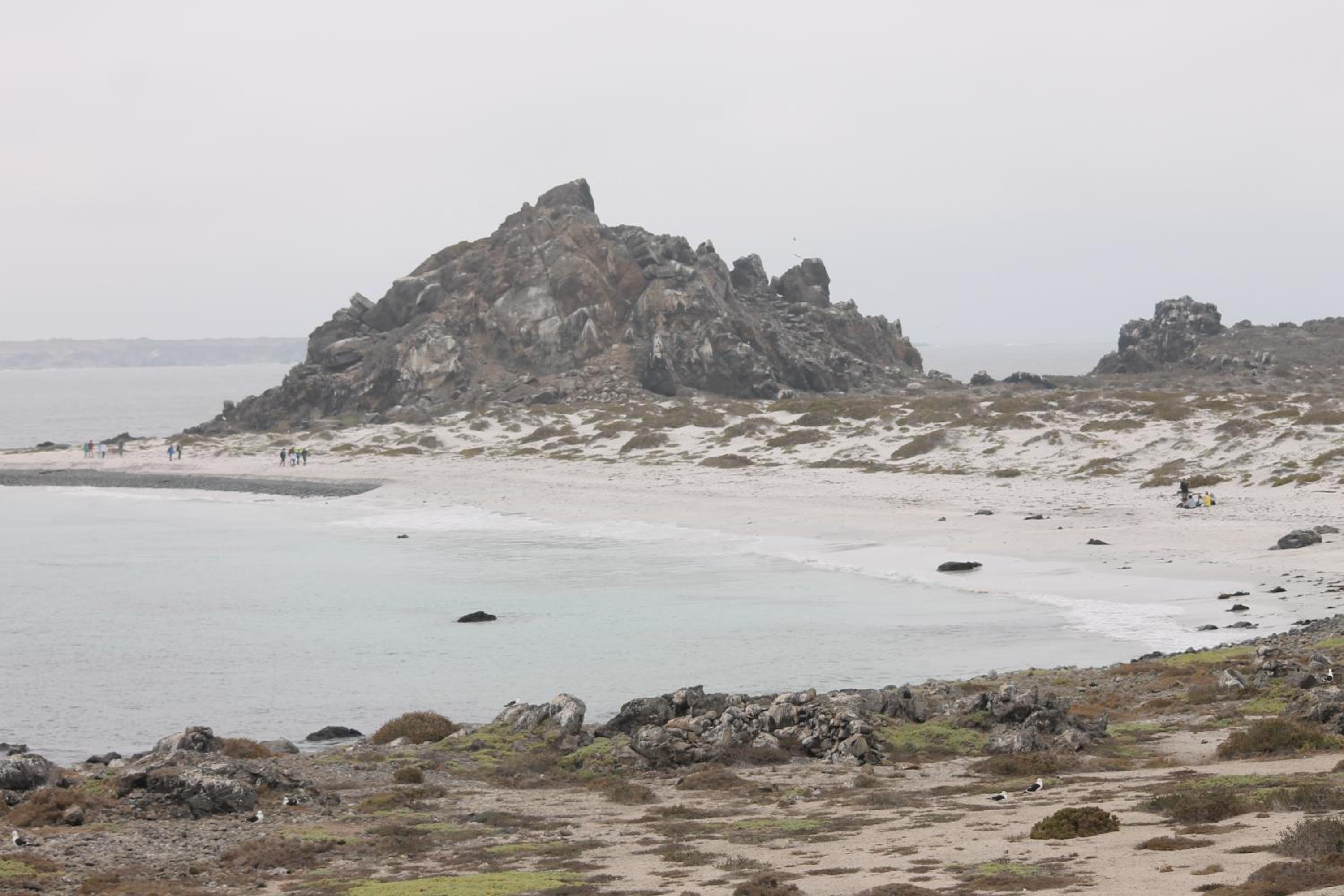 Cabaña Albergo Punta de Choros