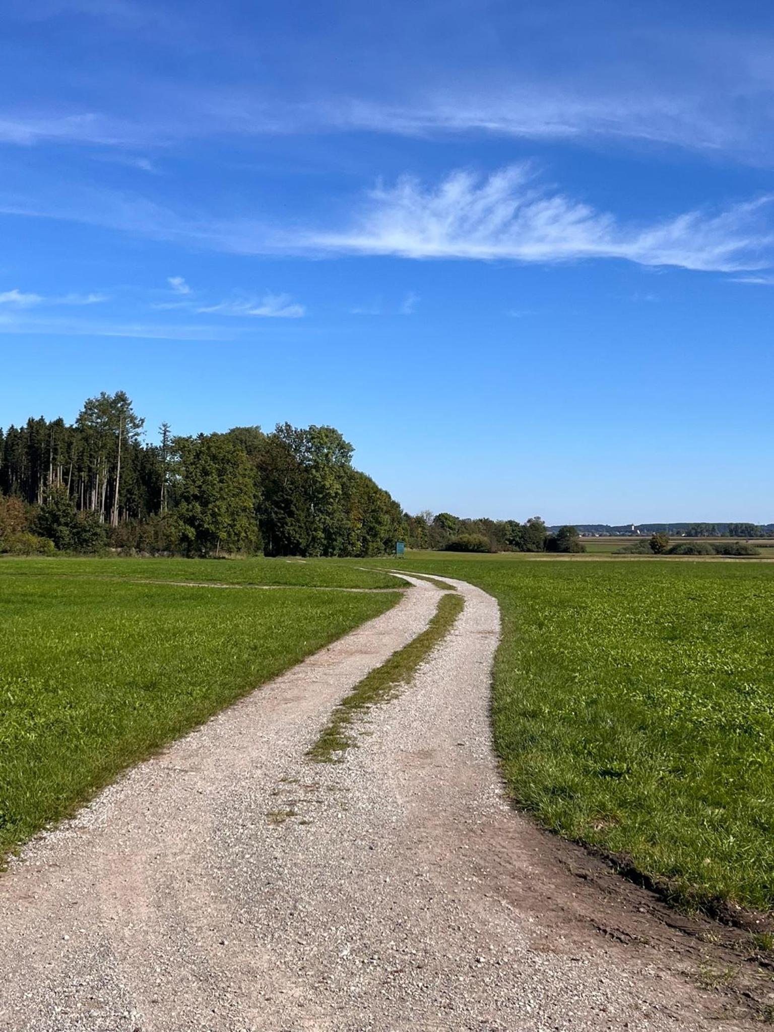 Wunderschöne, große Gartenwohnung mit 3 Schlafzimmern Nähe Kaufbeuren