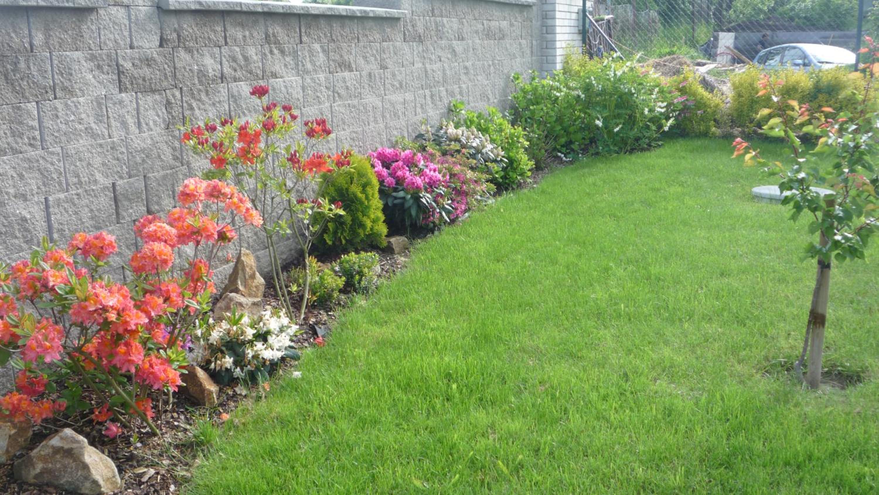 Photo 47