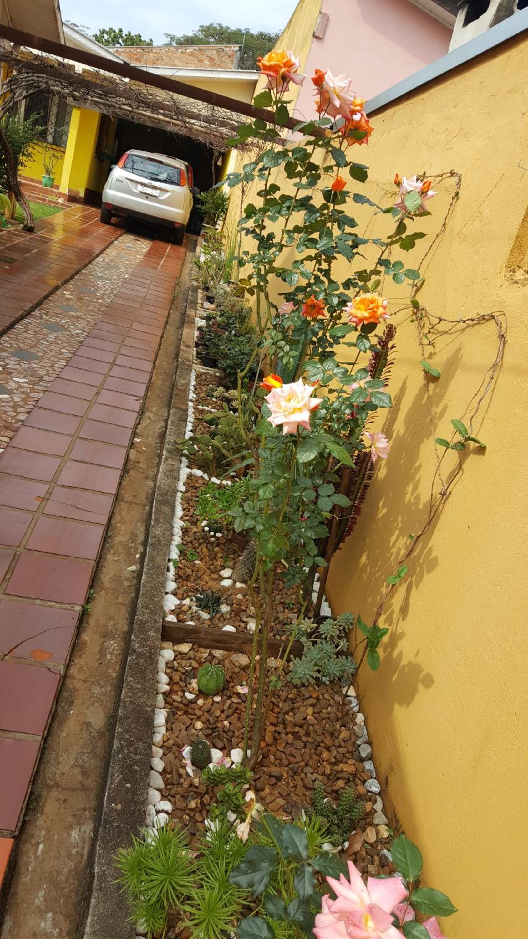 Yolanda Family House