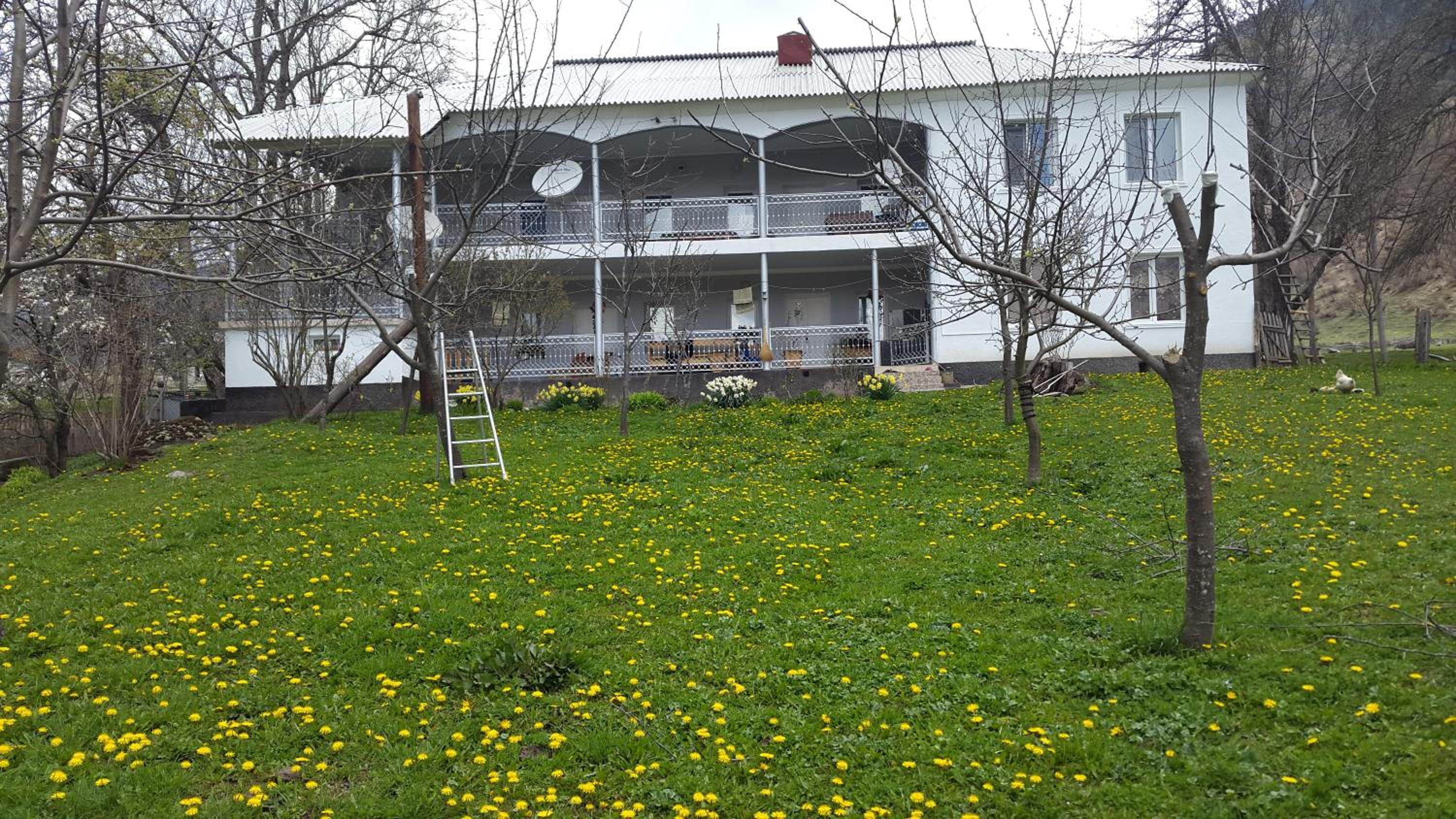 Photo 47