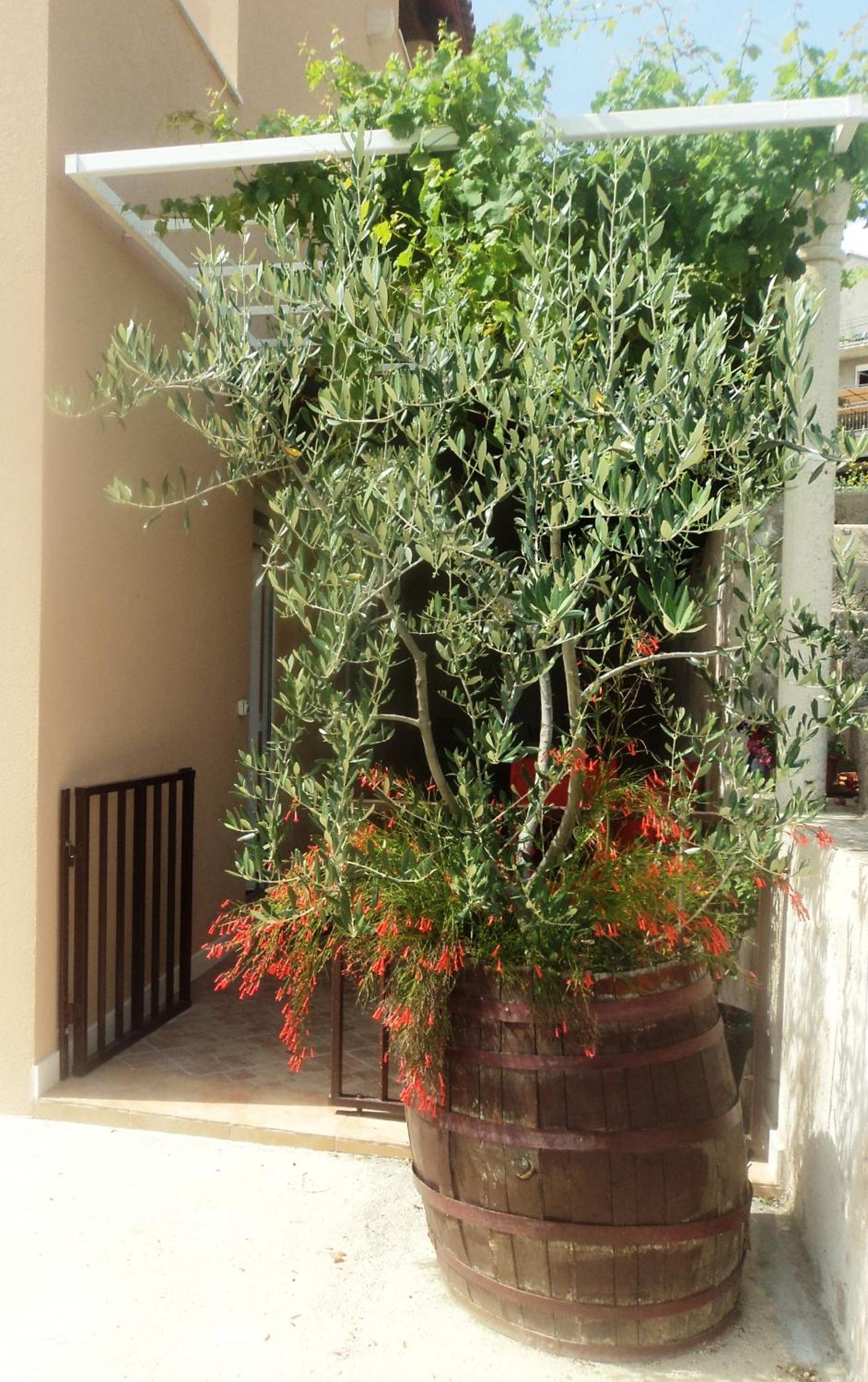 Apartments Karoma view 2