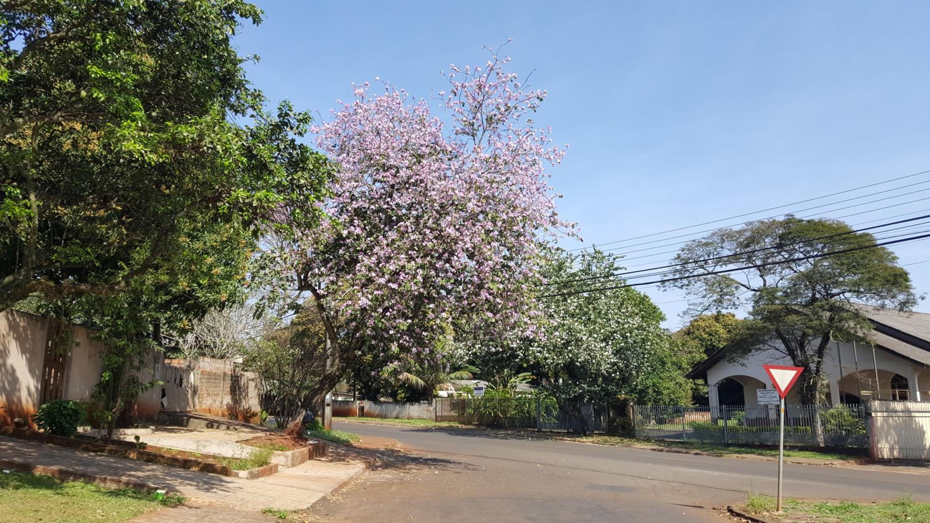 Yolanda Family House