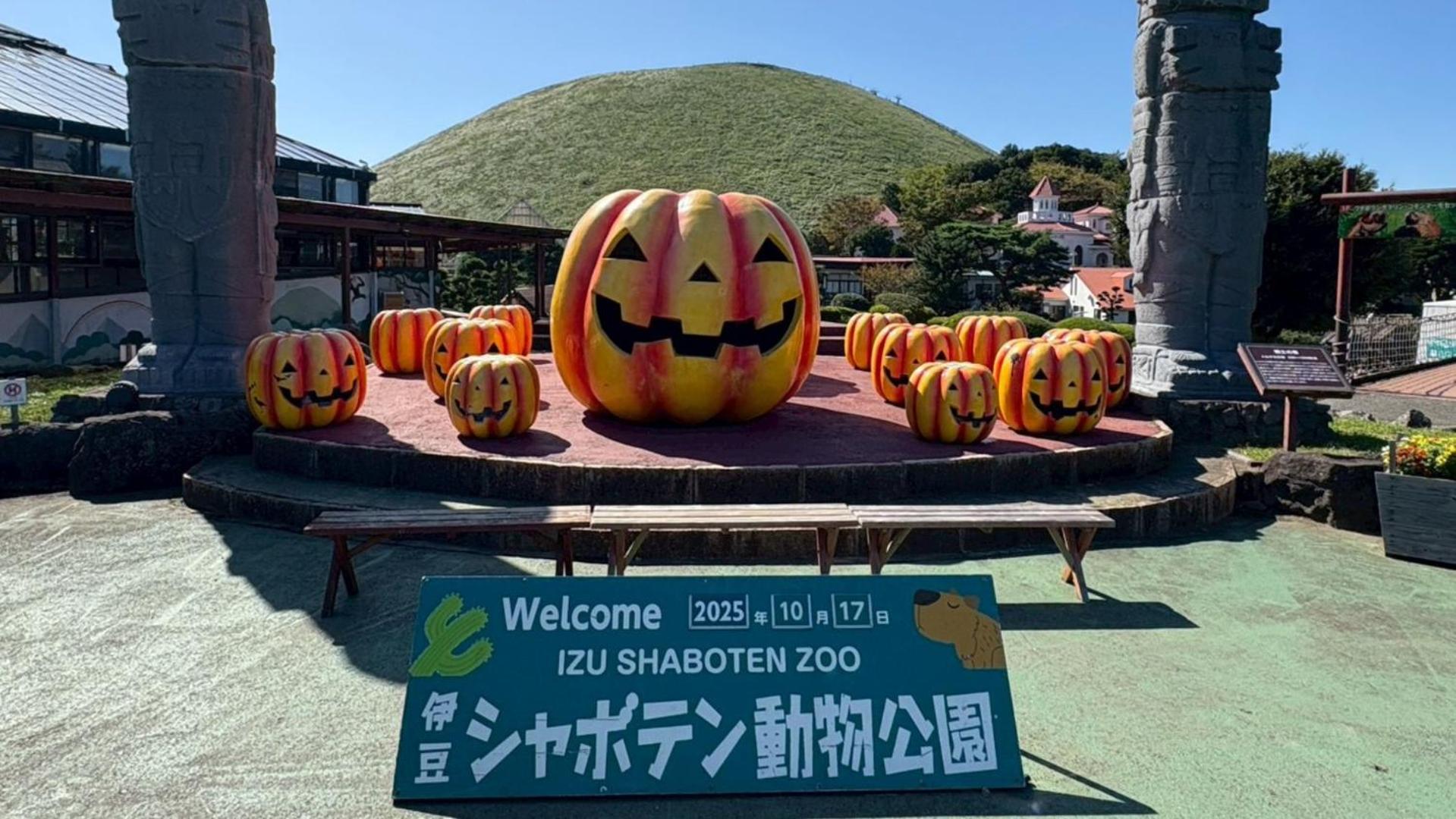 伊豆の高台に佇むログハウスの貸別荘 #一棟貸切 #グループや家族旅行におすすめ #広々リビング #BBQグリル付 #満点の星空 #大室山を眺める #桜並木通り近く #伊東市 #伊豆高原 #kazamichi