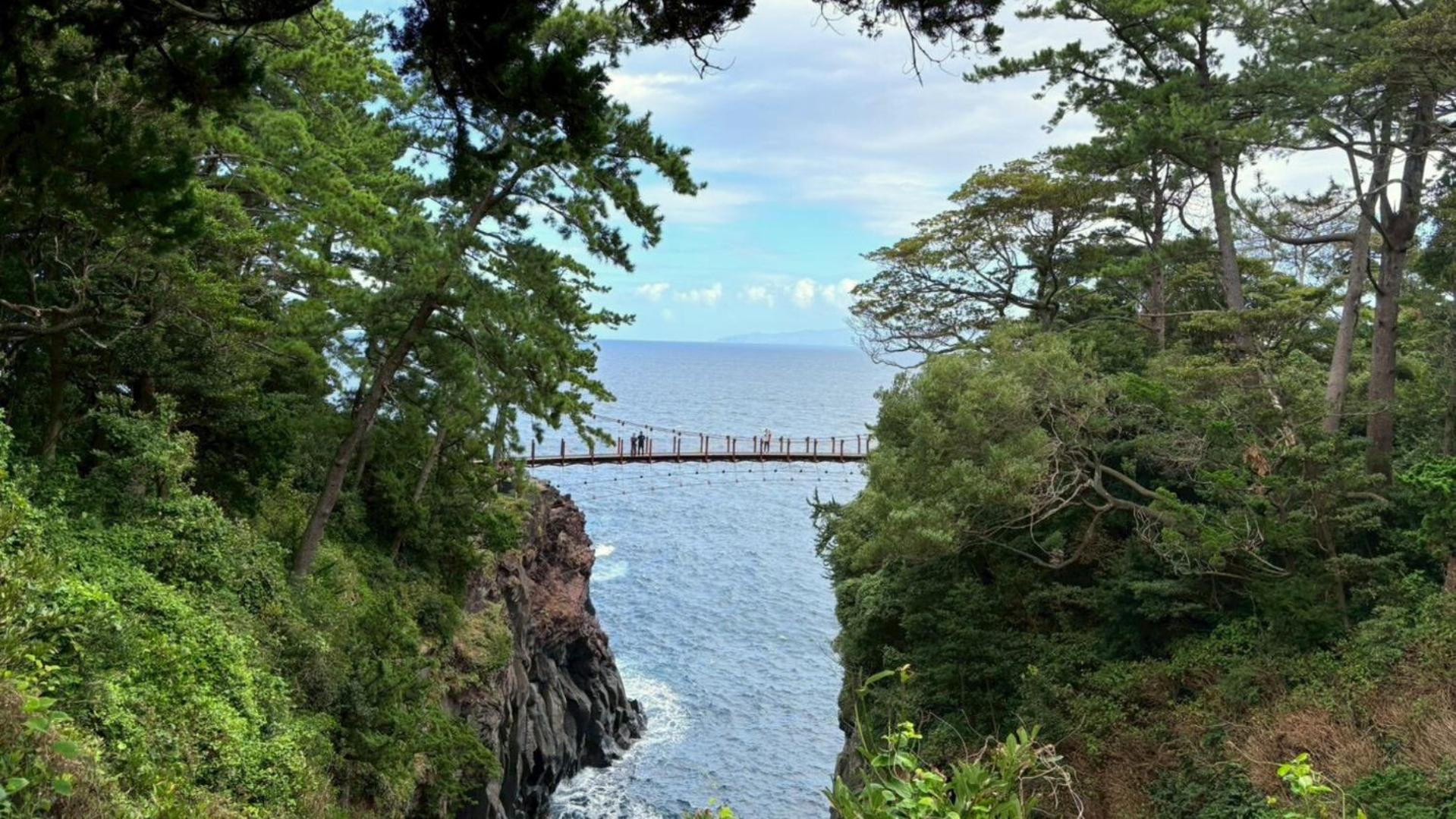 伊豆の高台に佇むログハウスの貸別荘 #一棟貸切 #グループや家族旅行におすすめ #広々リビング #BBQグリル付 #満点の星空 #大室山を眺める #桜並木通り近く #伊東市 #伊豆高原 #kazamichi