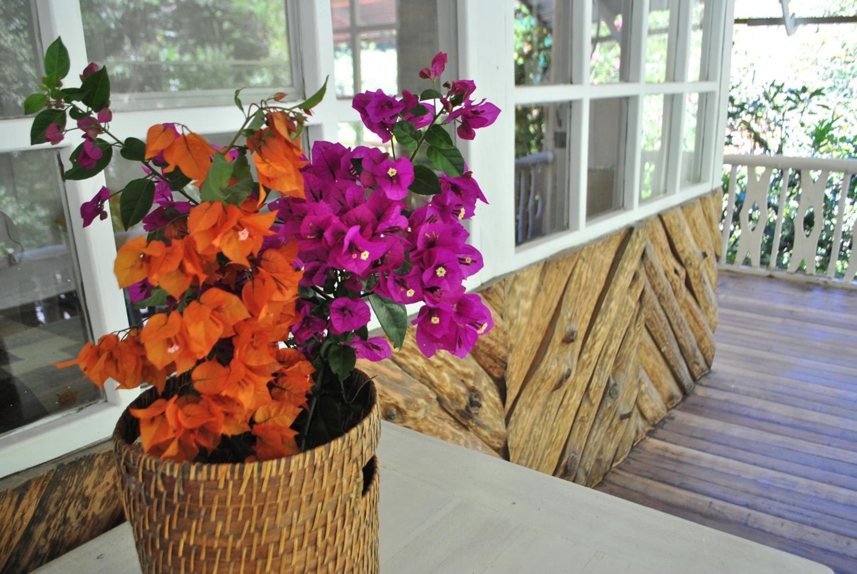 Pacheco Farmhouse - Intag Valley