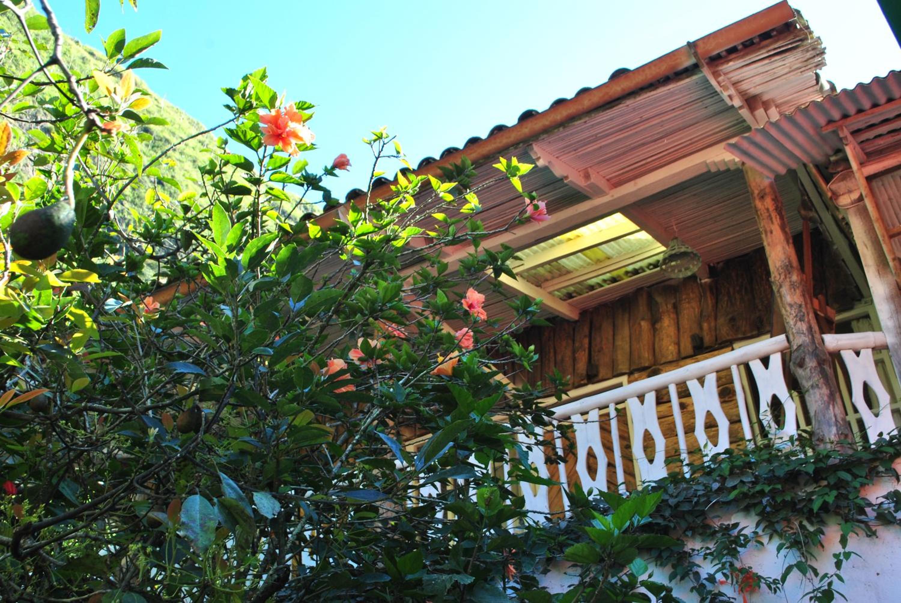Pacheco Farmhouse - Intag Valley