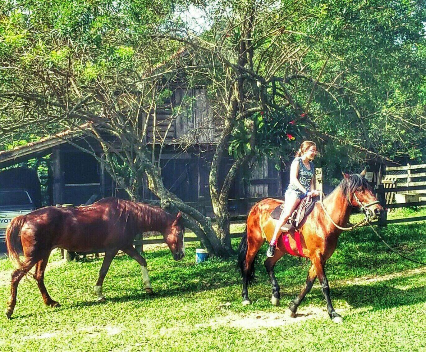 Farm Muquem