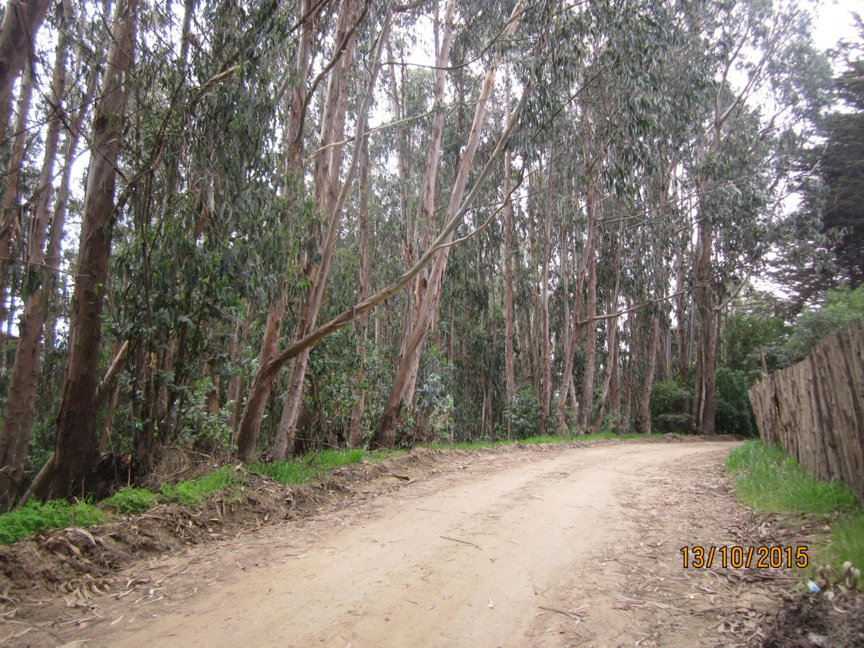 Cabañas Tu Bosque, photo 41