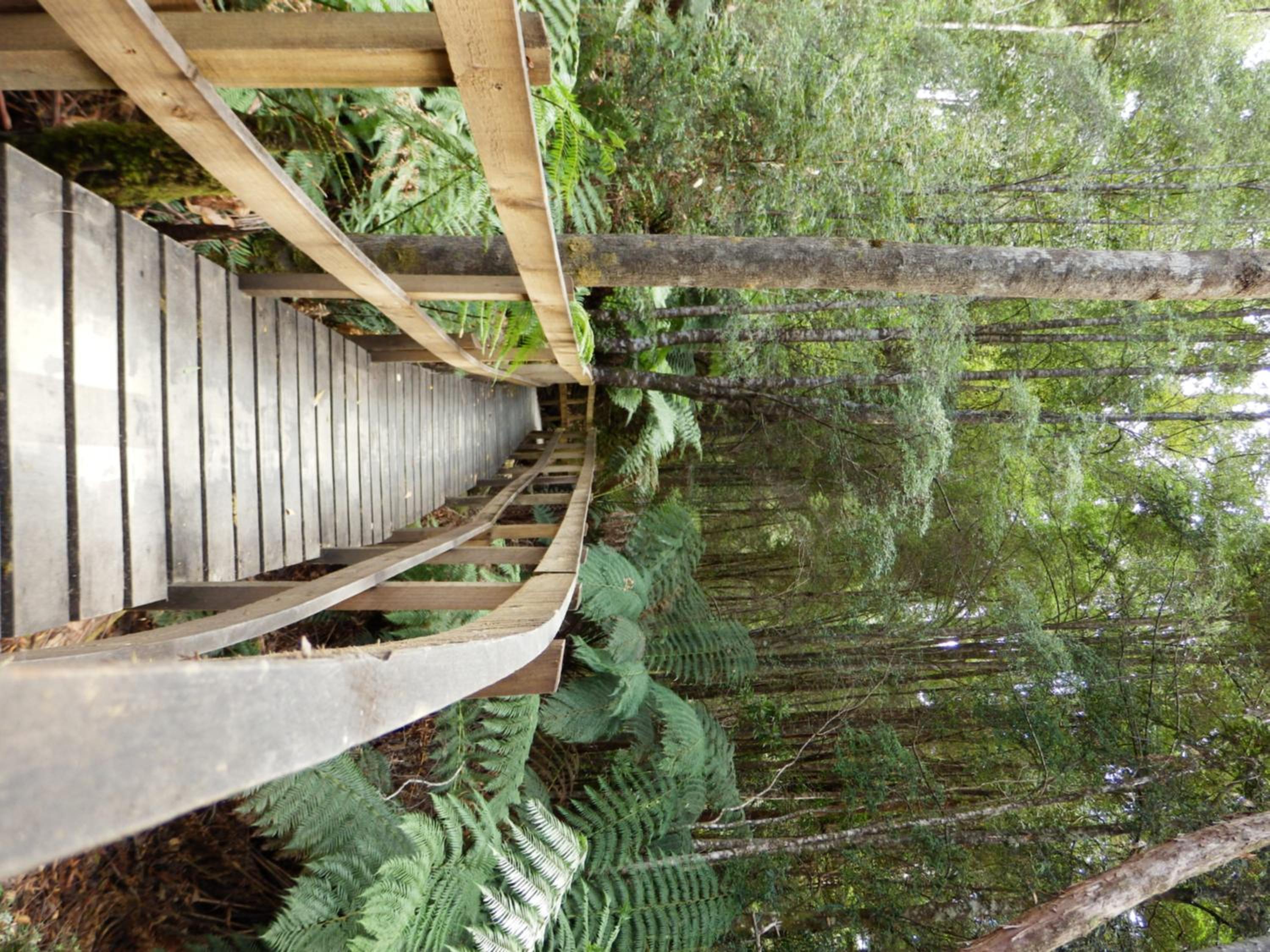 Tahune AirWalk Cabin and Lodge