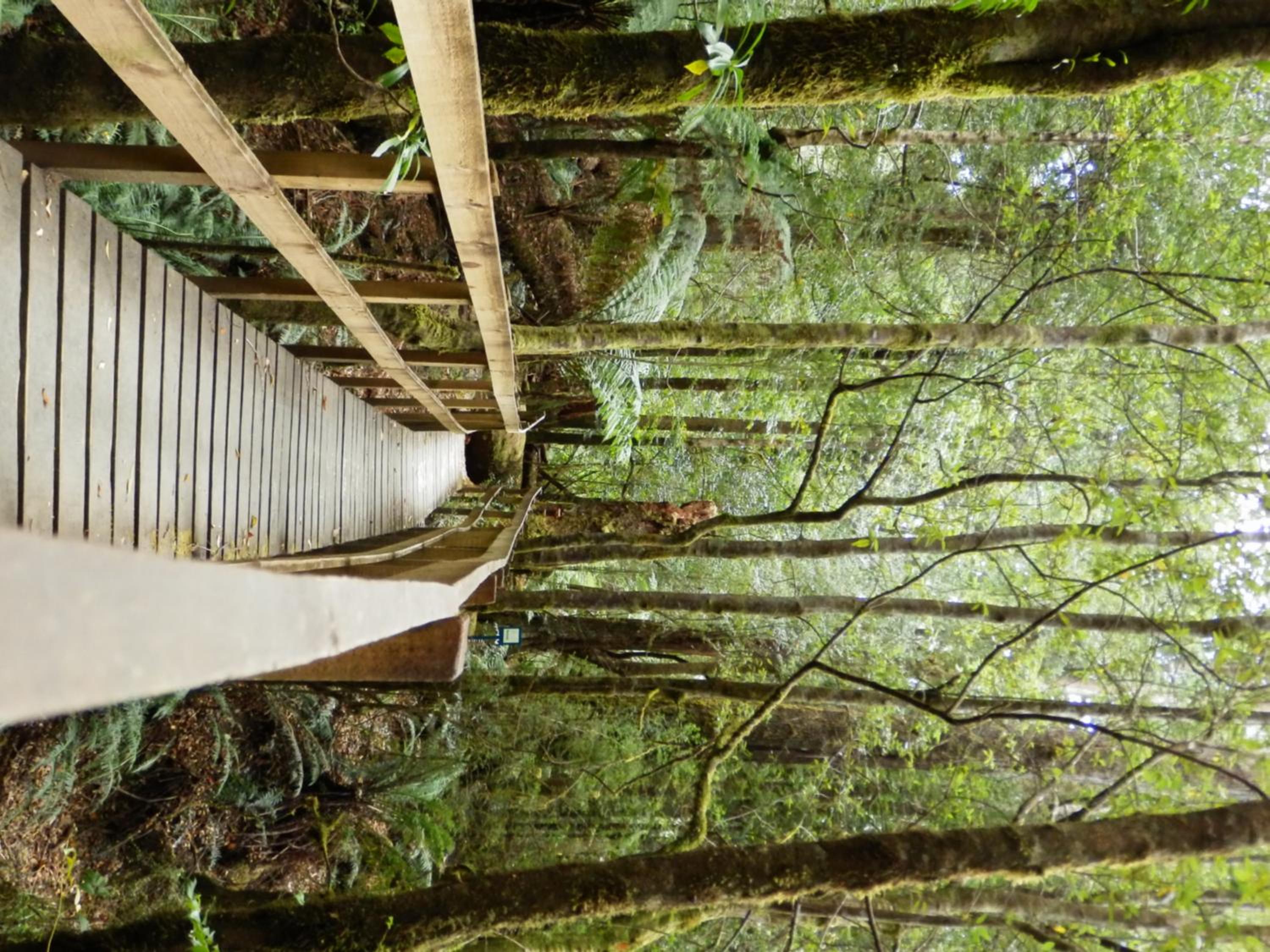 Tahune AirWalk Cabin and Lodge