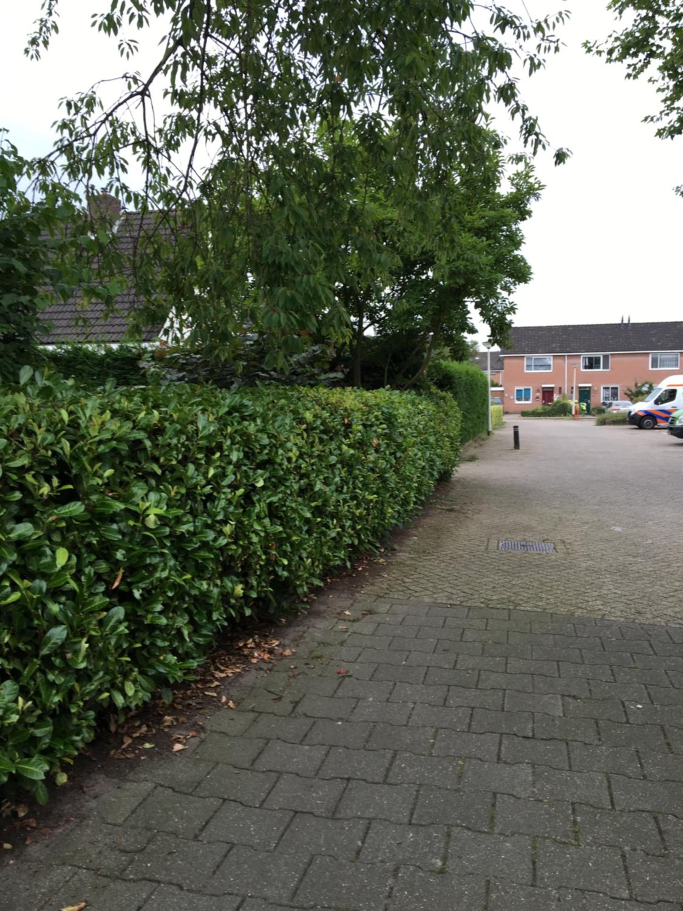 Photo 19