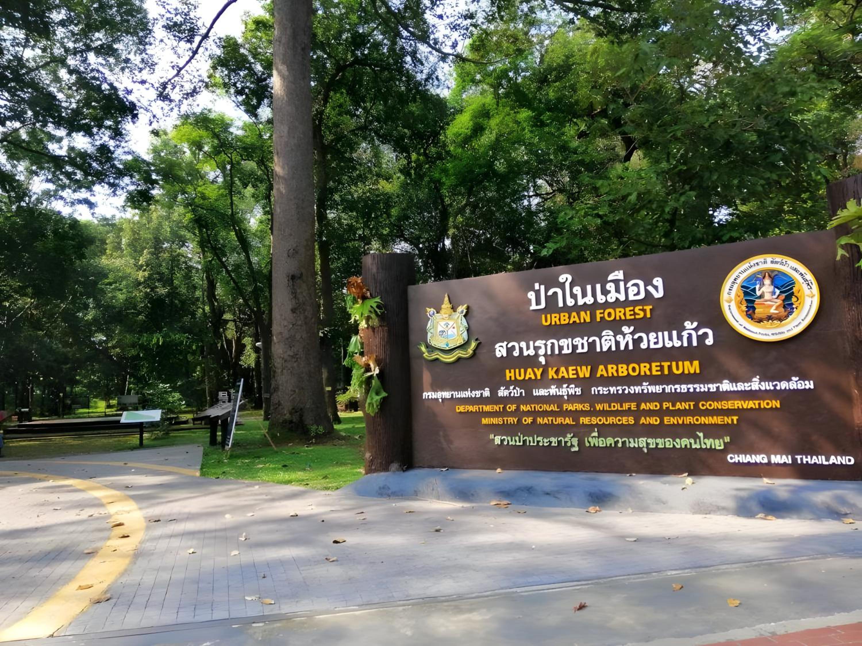 xx GO INN Chiang Mai University CMU - โกอินน์ เชียงใหม่