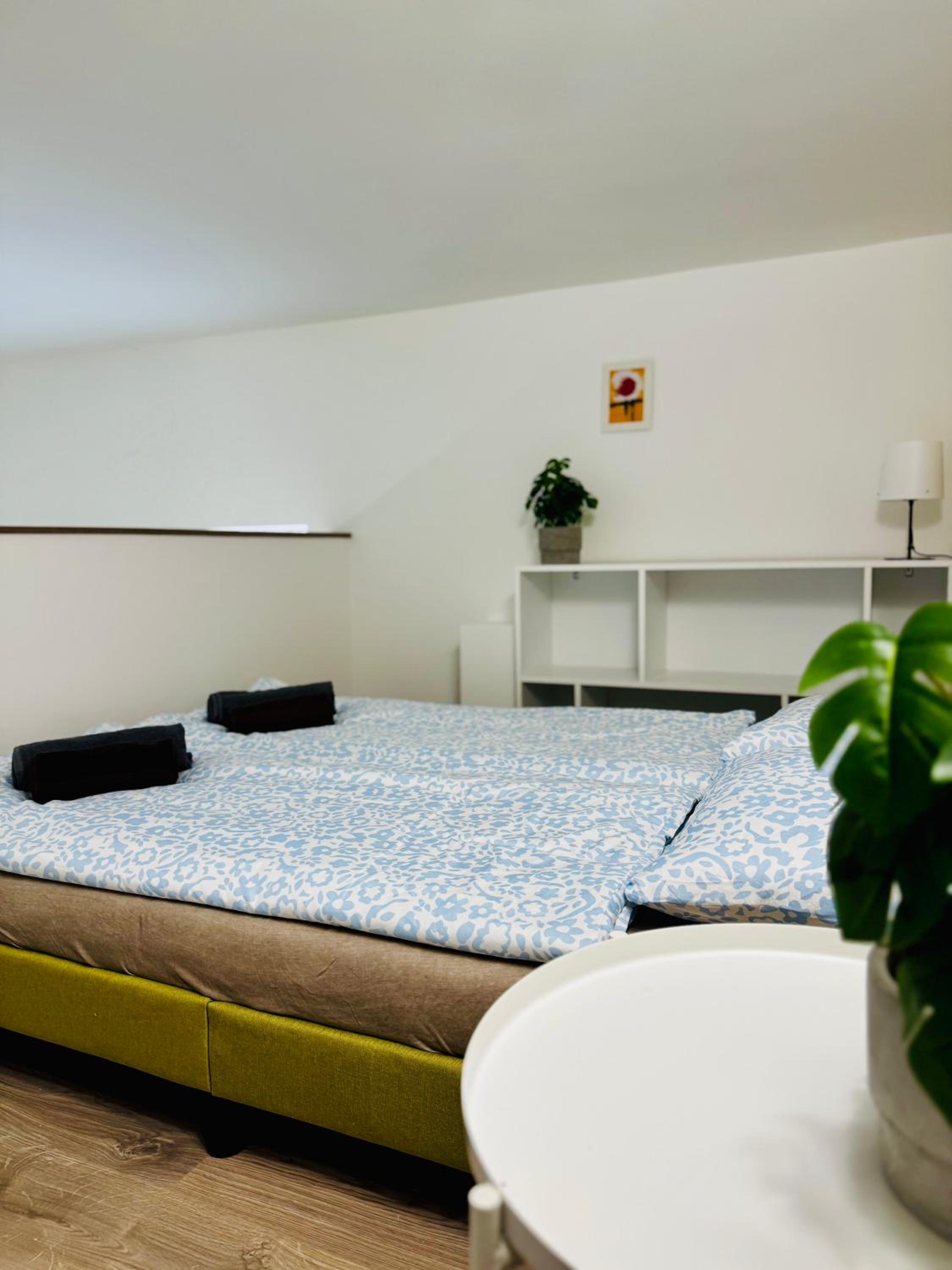 The Velvet Residence With FREE PARKING