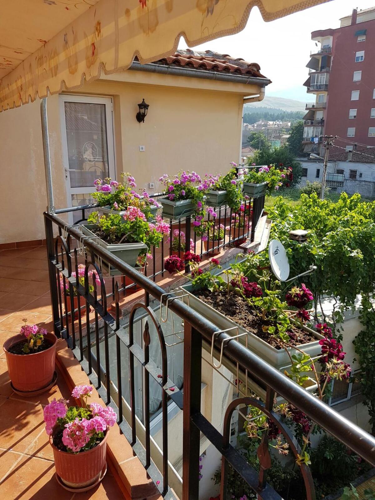 Diana Guesthouse