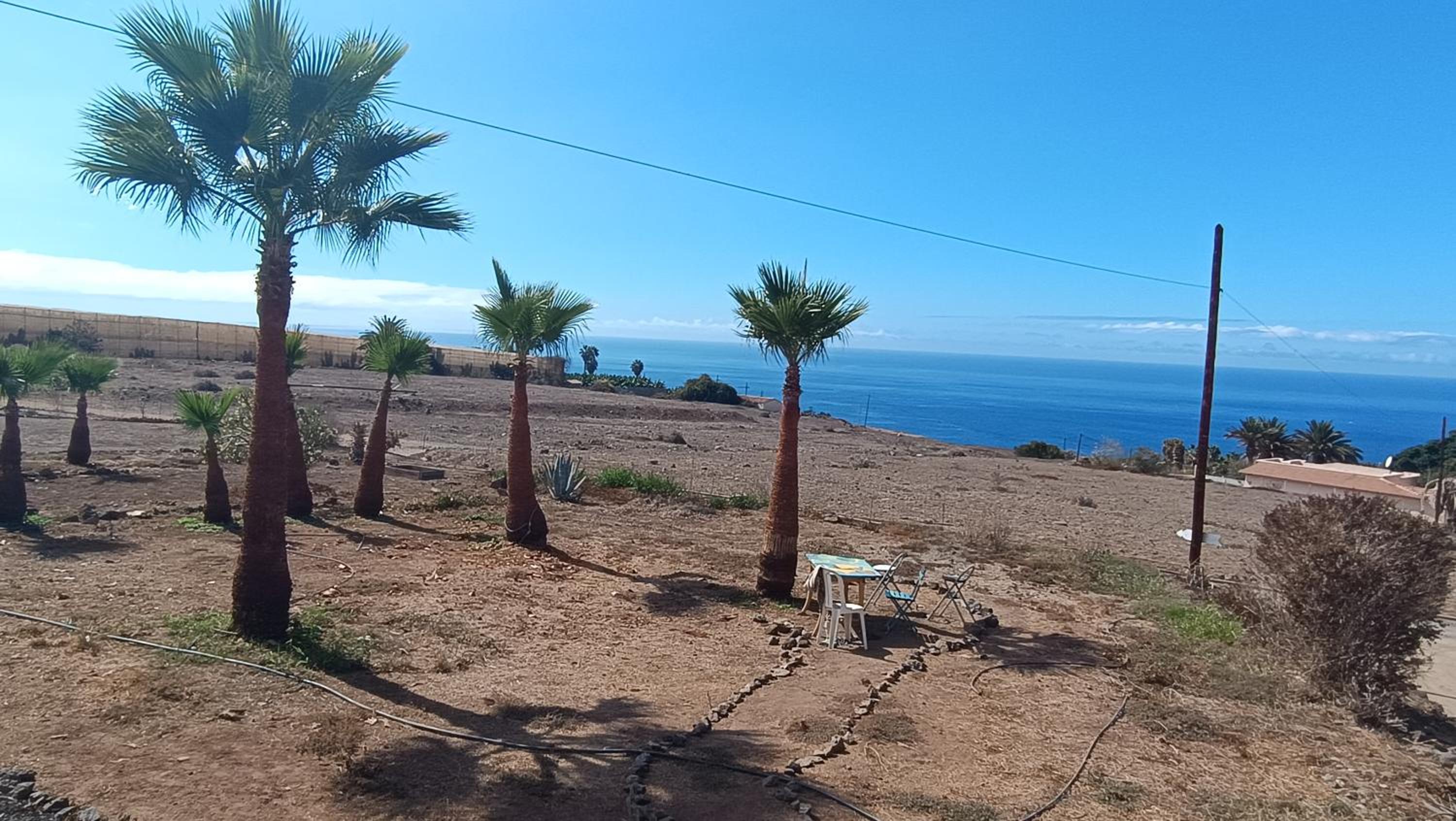 The Tree House Surf Camp