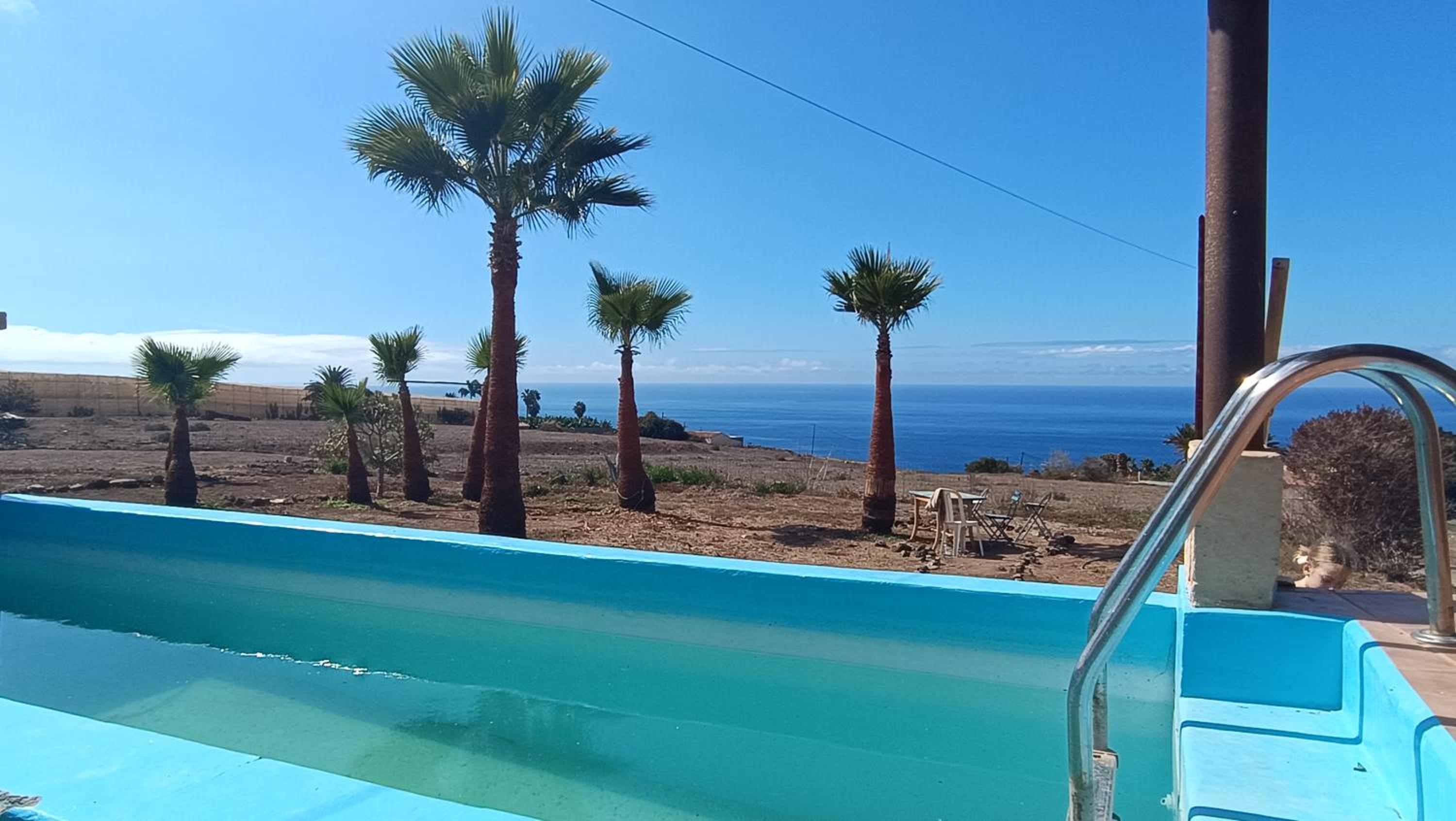 The Tree House Surf Camp