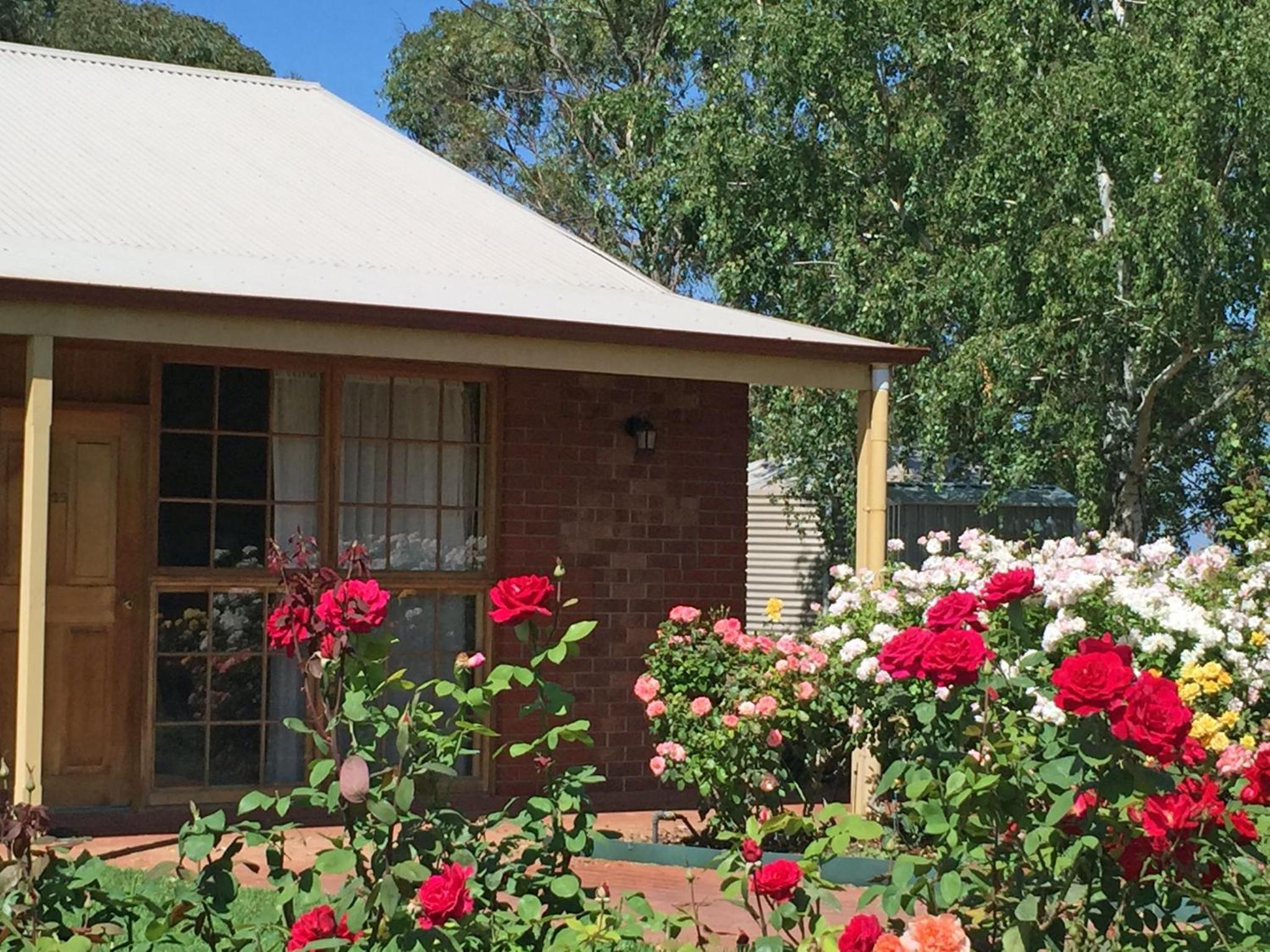 Coonawarra Place Motor Inn