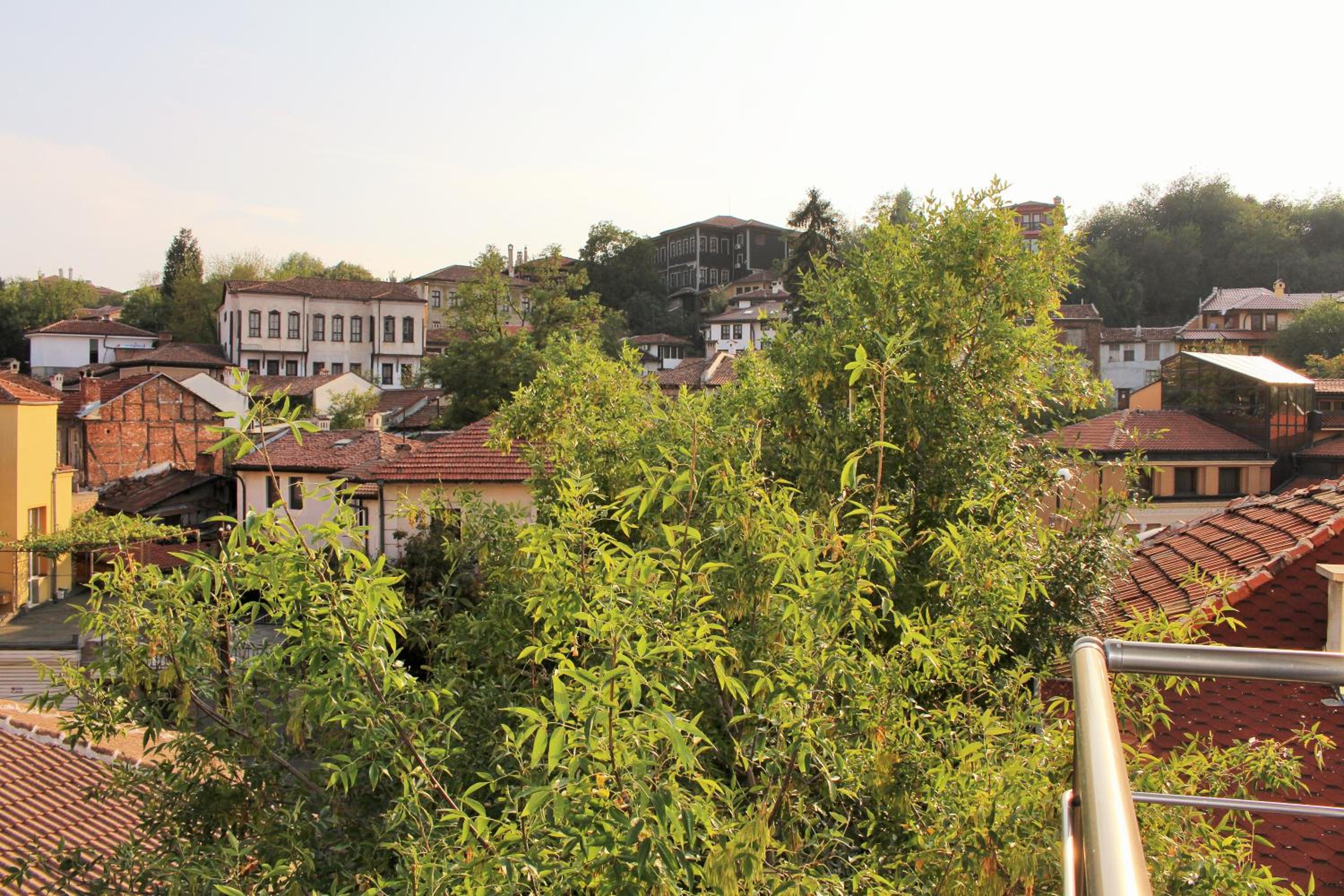 Photo 45
