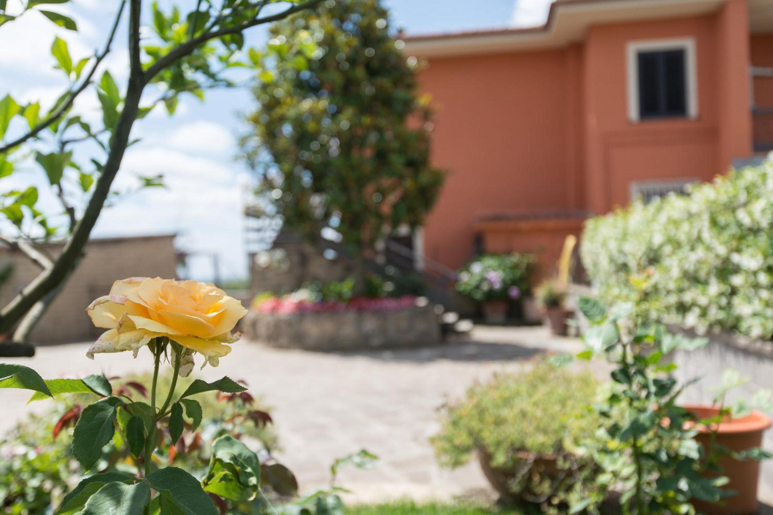 Bed and Breakfast Nonna Loreta