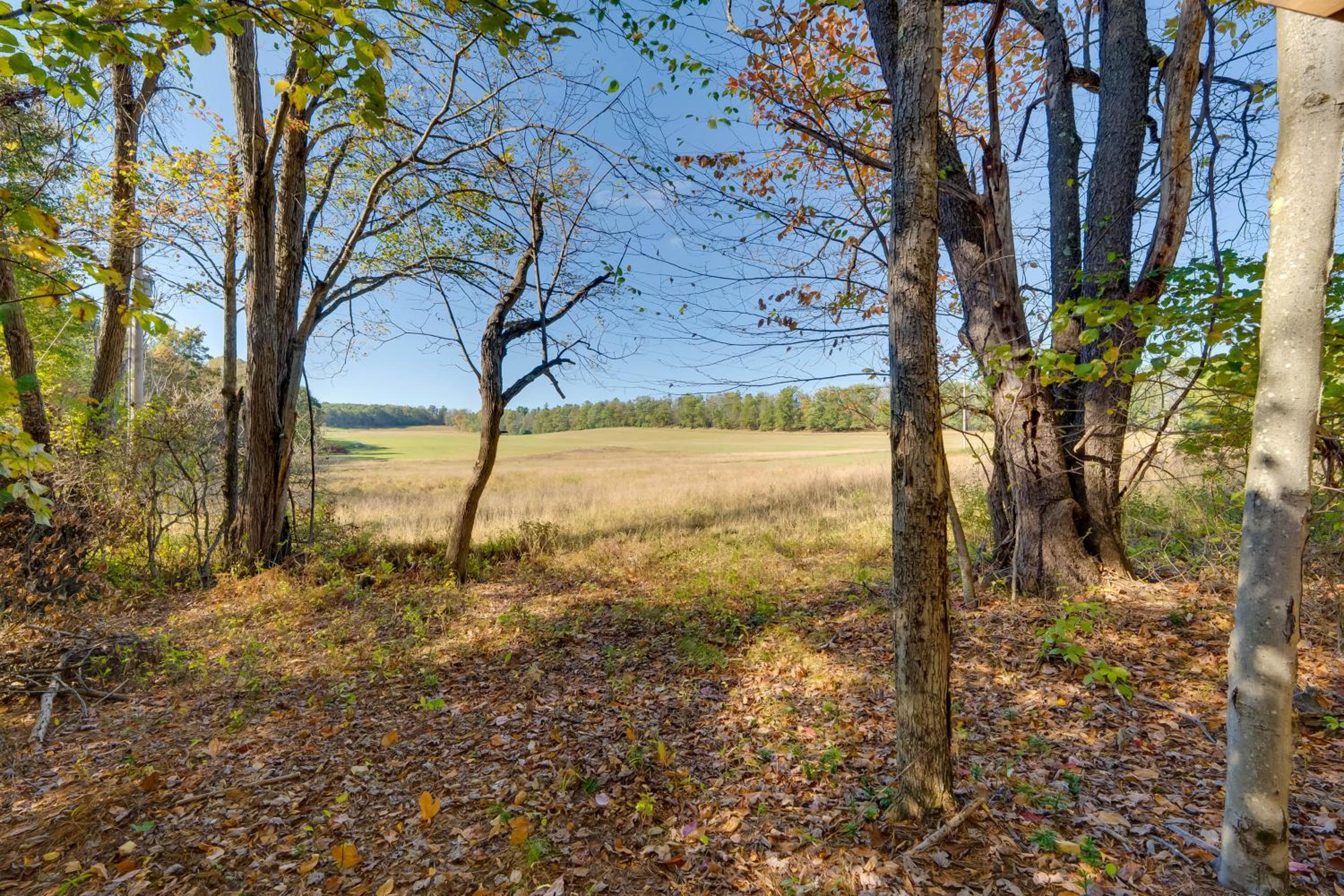 7 Mi to Bilgers Rocks Secluded 7-Acre Retreat
