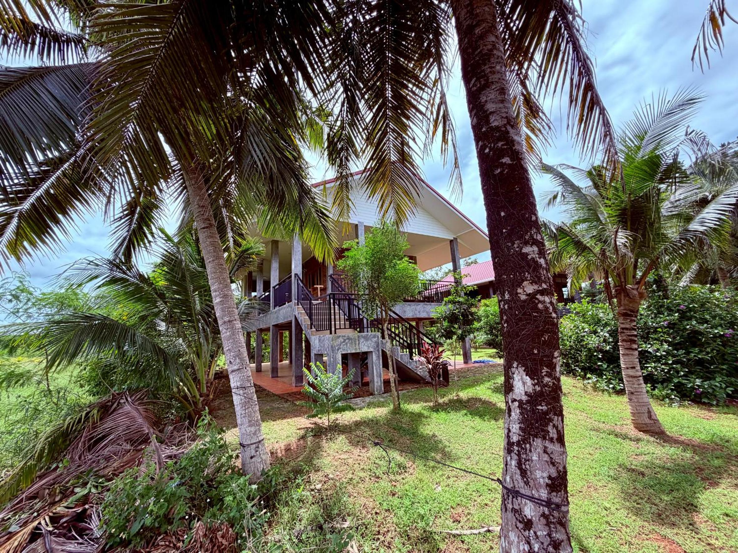 Baantientong