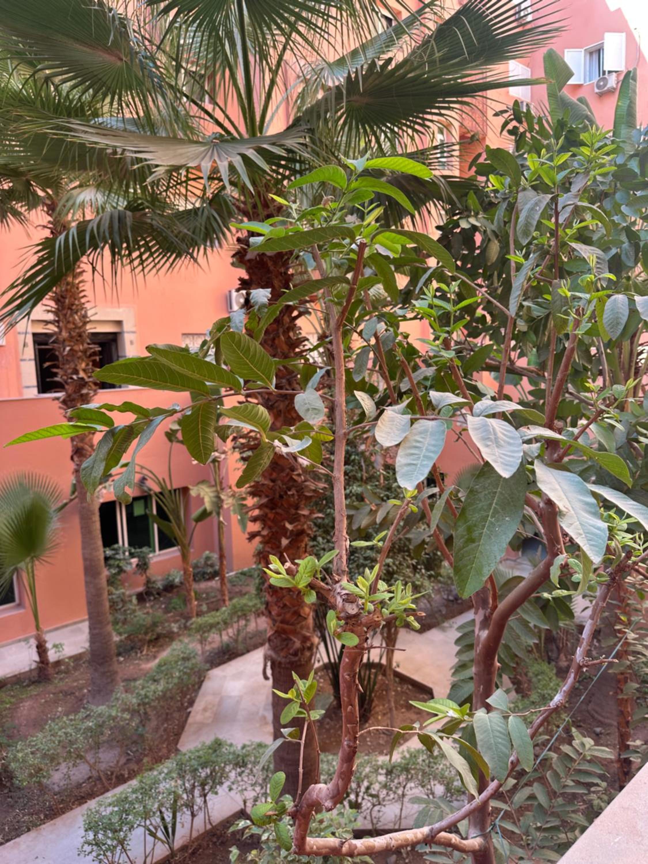Charming Central 2 Bedroom Apartment with Pool Near Train Station
