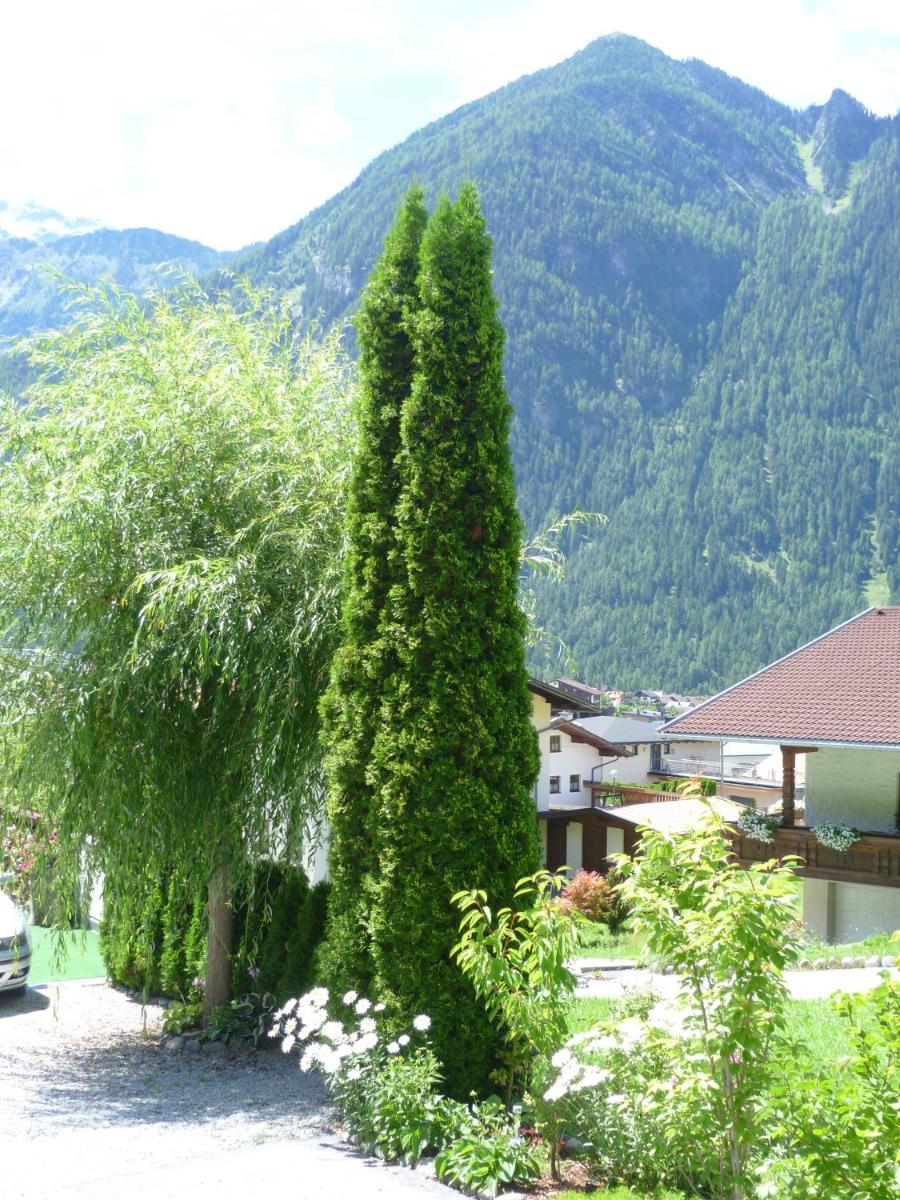 Photo 30