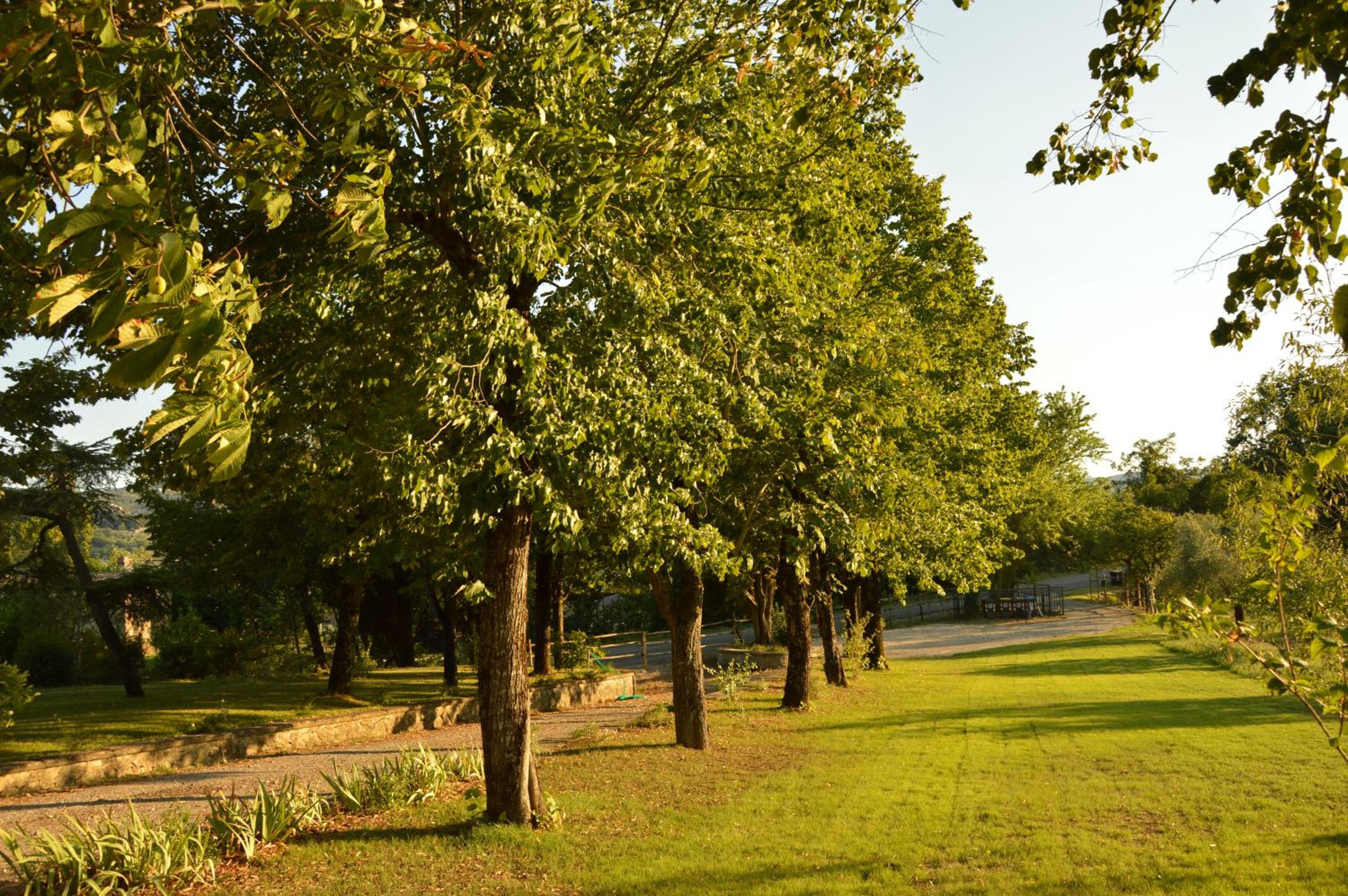 Agriturismo Riparossa